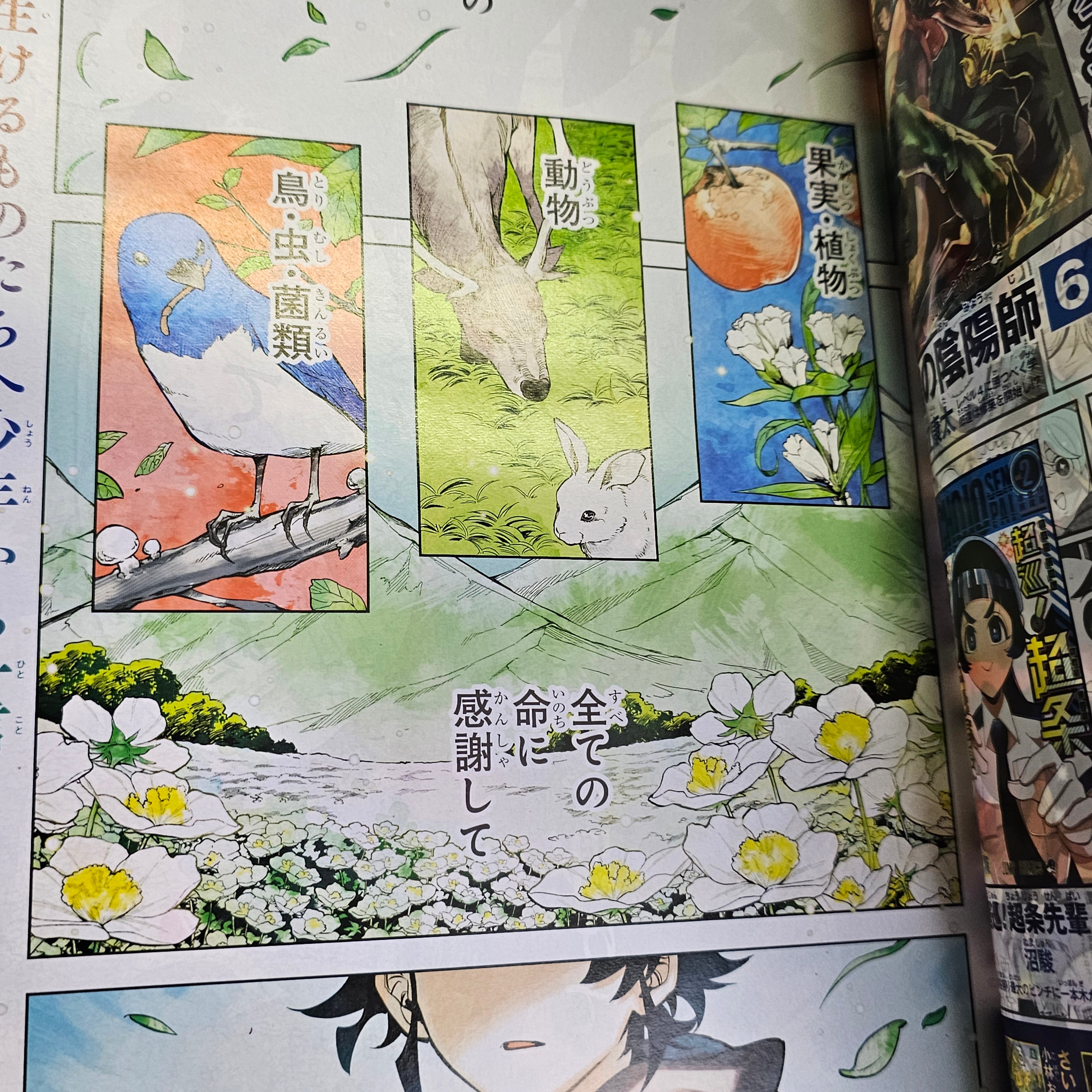 Weekly Shonen Jump n°41 (2024) (premier chapitre Ichi the Witch)