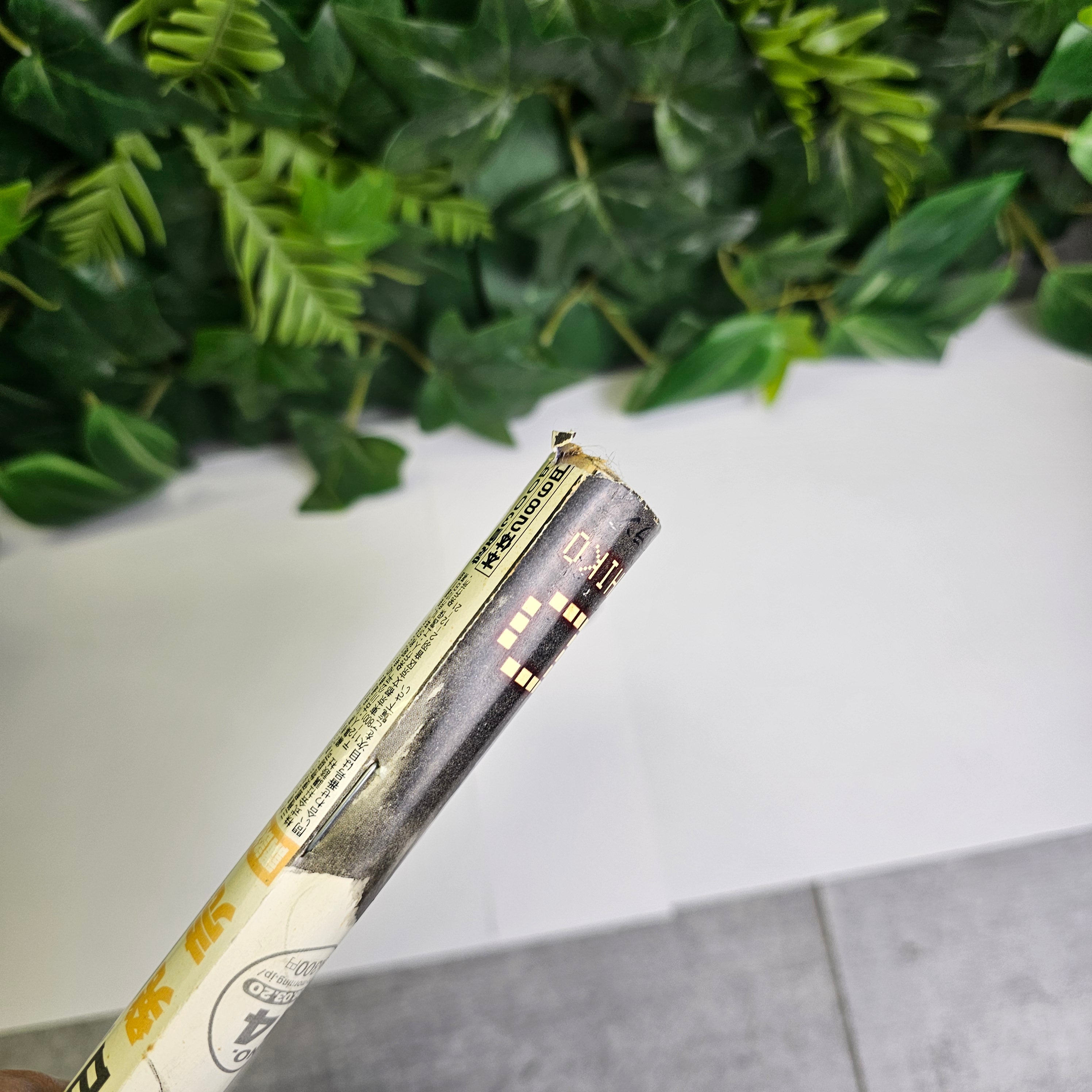 Weekly Morning Magazine n°14 (2008) (Vagabond)