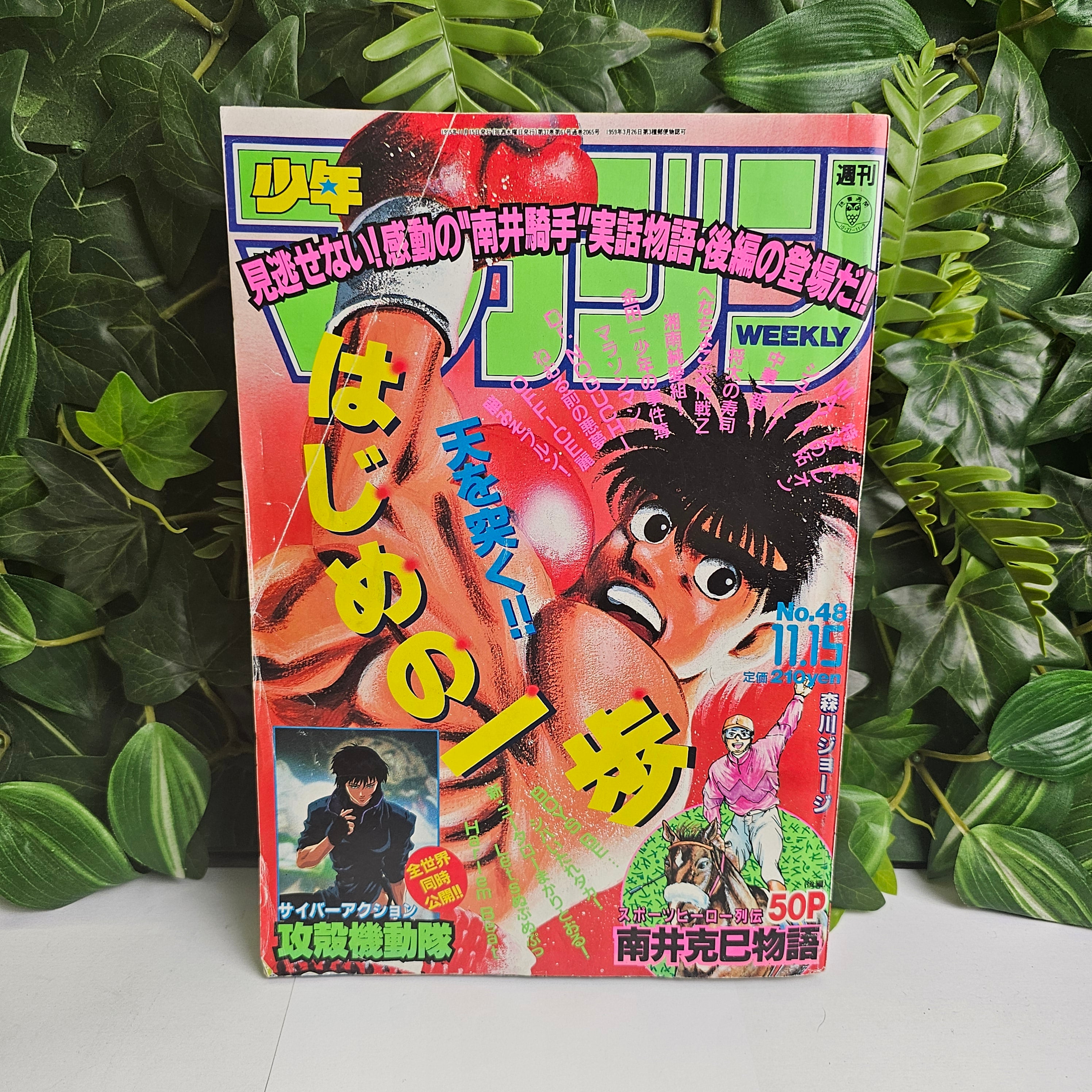 Weekly Shonen Magazine n°48 (1995)