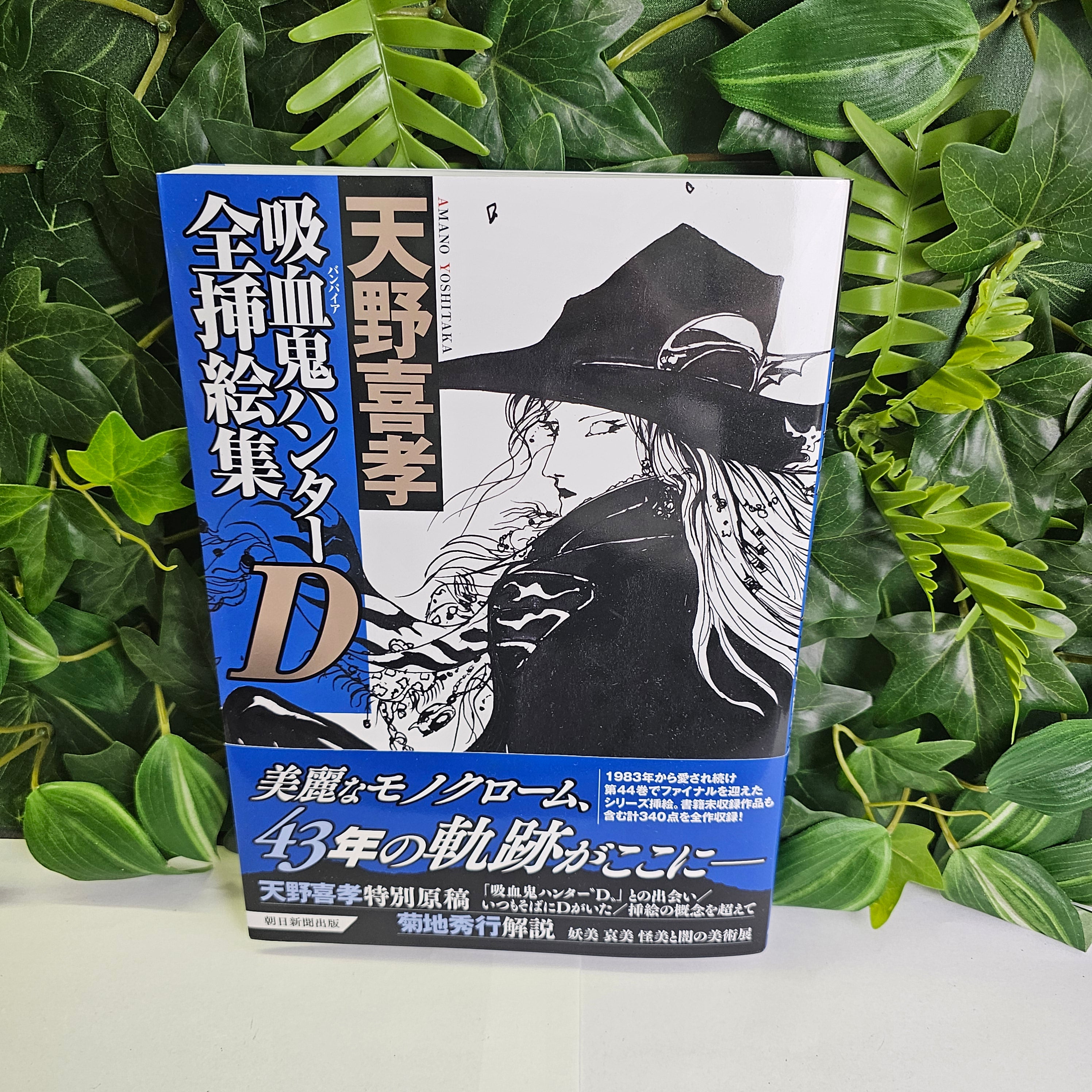 Vampire Hunter D - Artbook