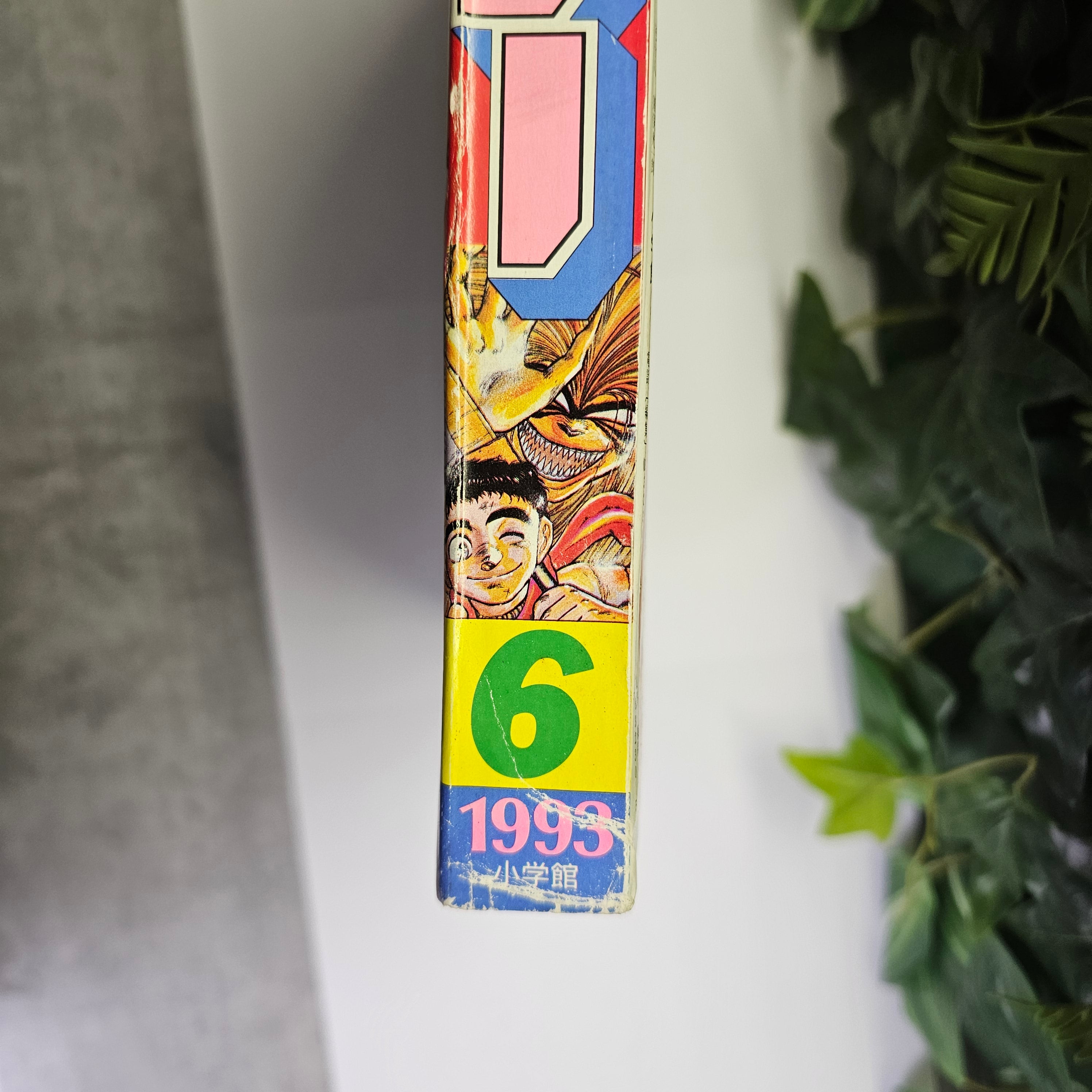 Weekly Shonen Sunday n°6 (1993)