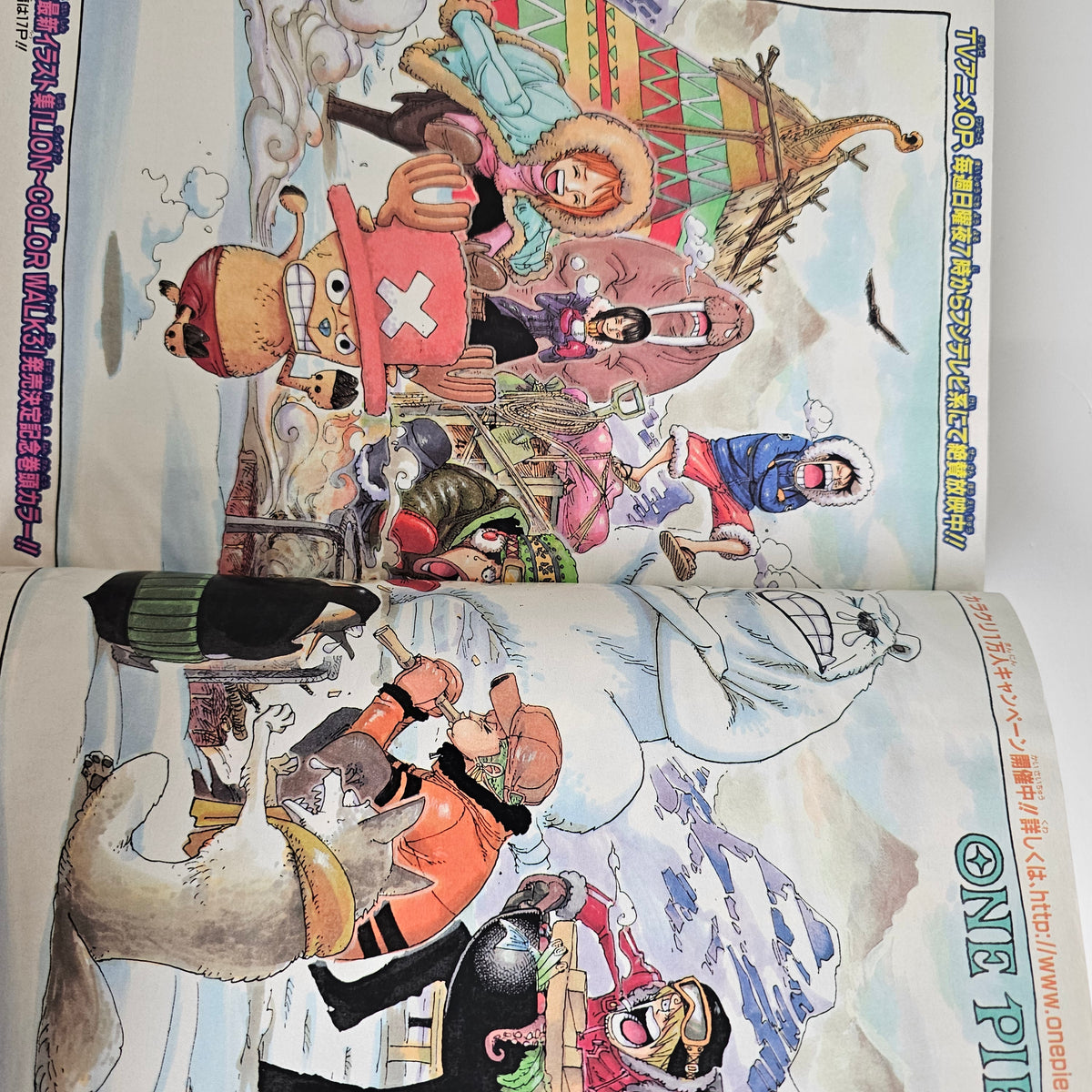 Weekly Shonen Jump n°52 (2005) (One Piece)