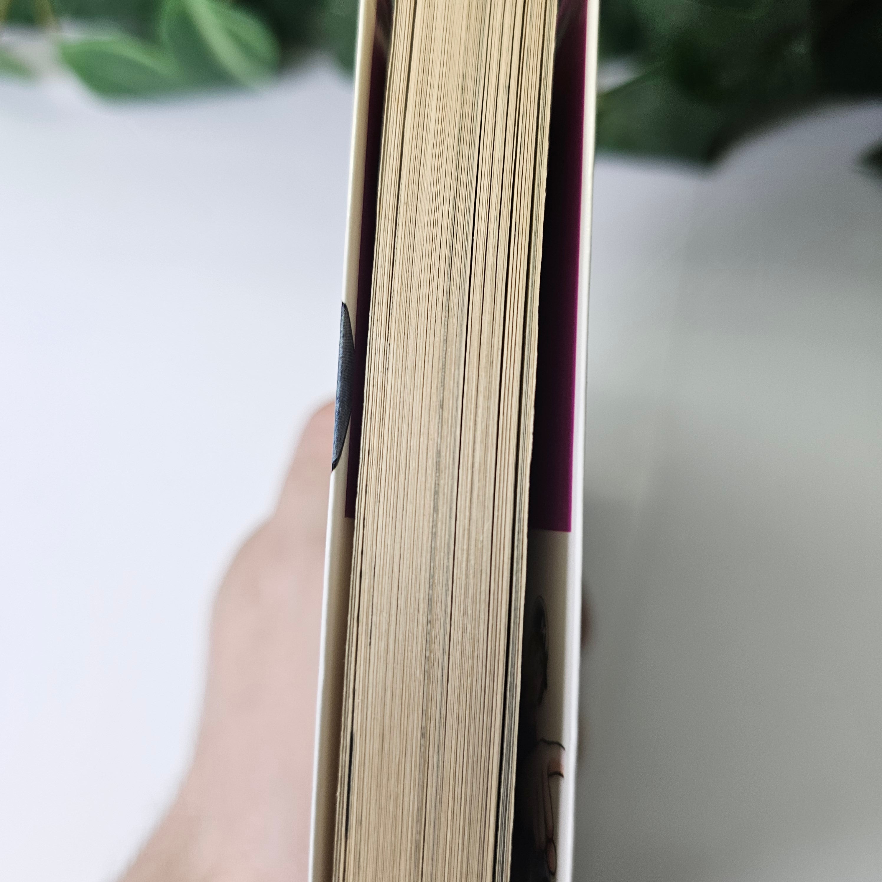 H2 - Tome 1 (VO)