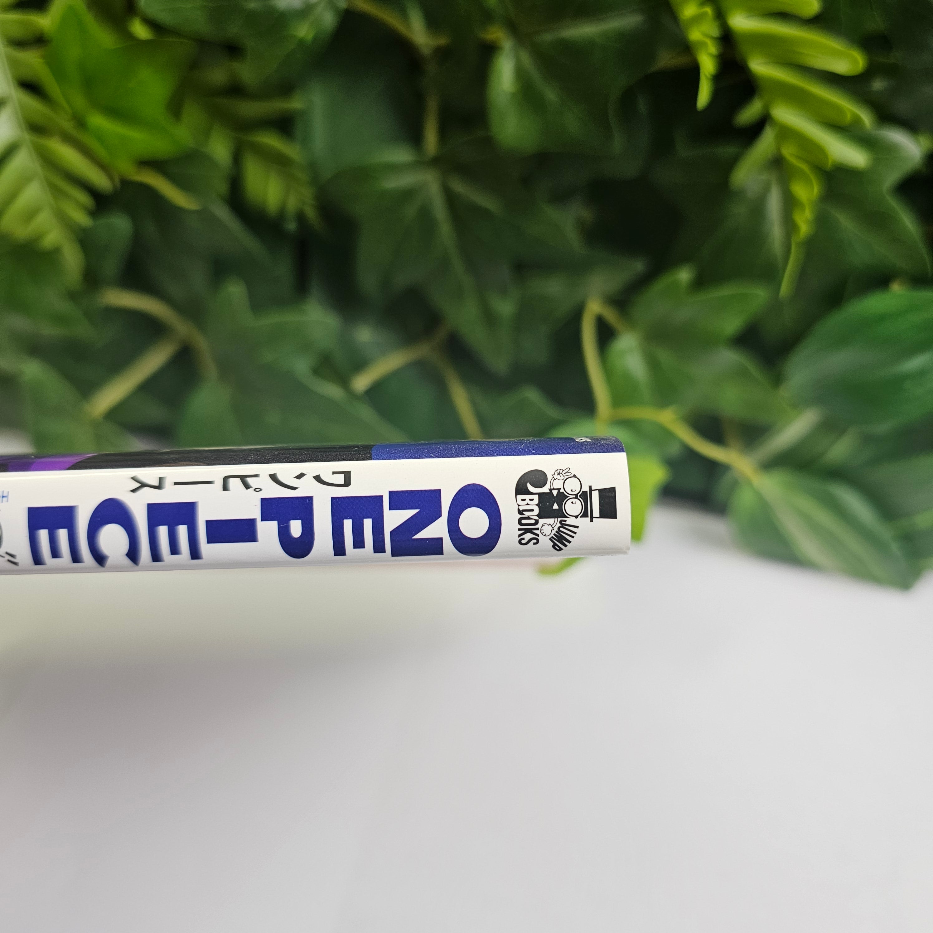 One Piece - Novel 3D2Y