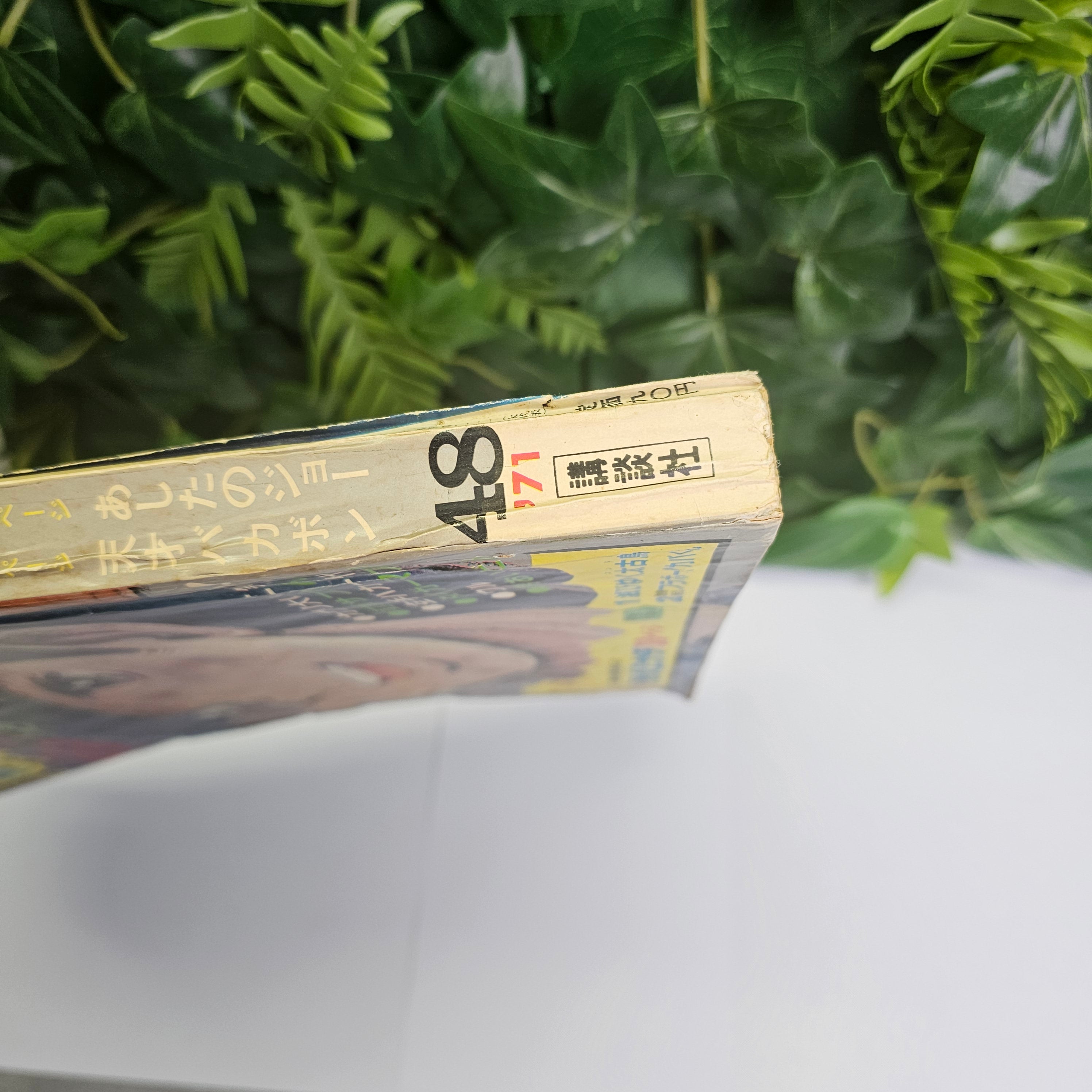 Weekly Shonen Magazine n°48 (1971) (Ashita No Joe)