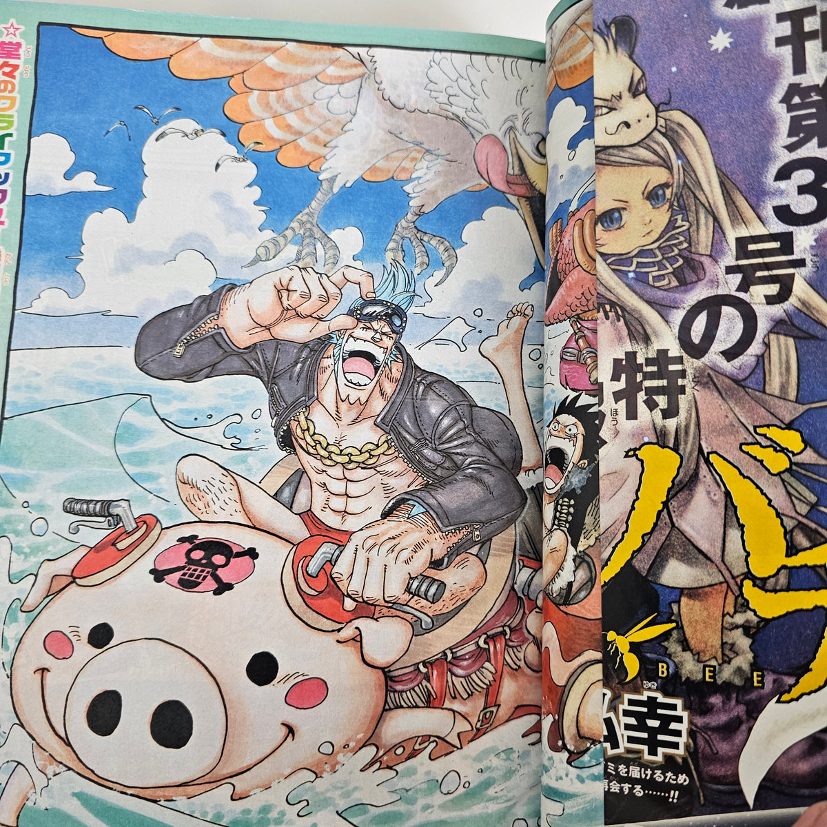 Weekly Shonen Jump n°4-5 (2008) (One Piece)