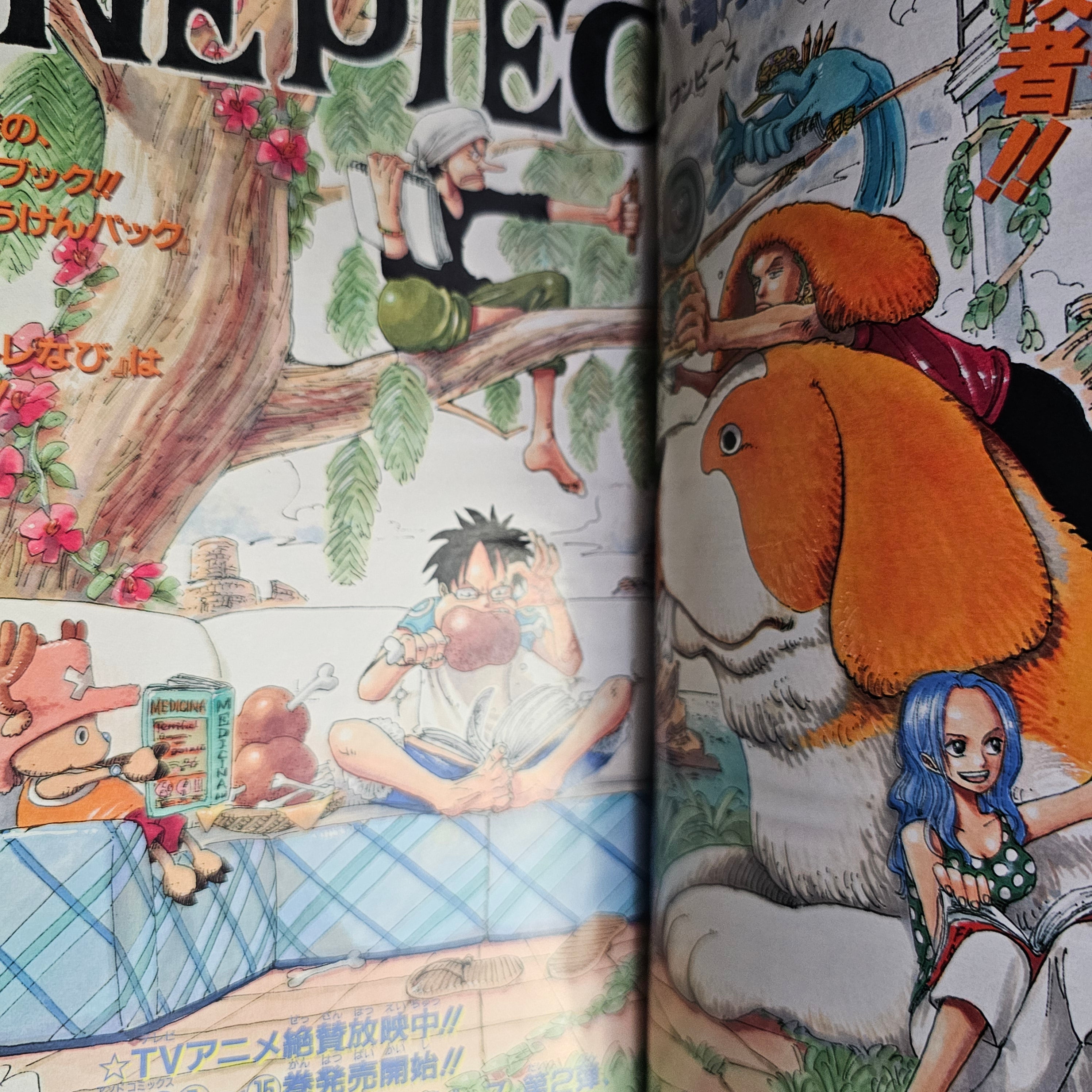 Weekly Shonen Jump n°42 (2000) (One Piece)