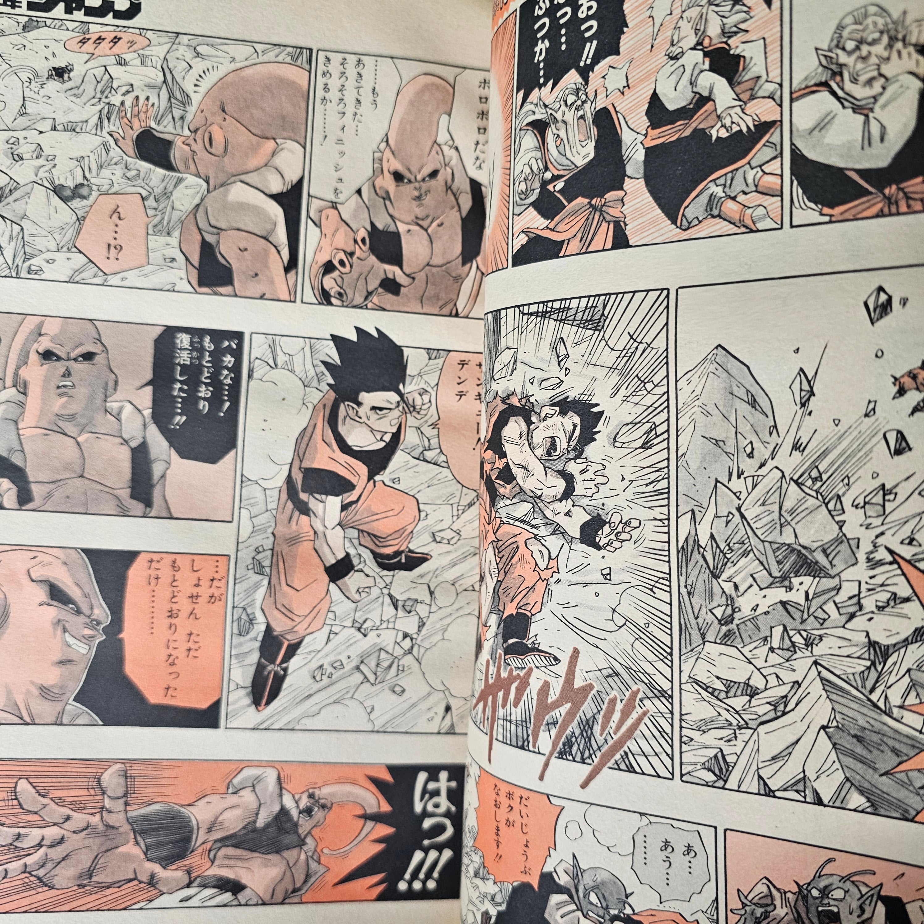 Weekly Shonen Jump n°5-6 (1995)