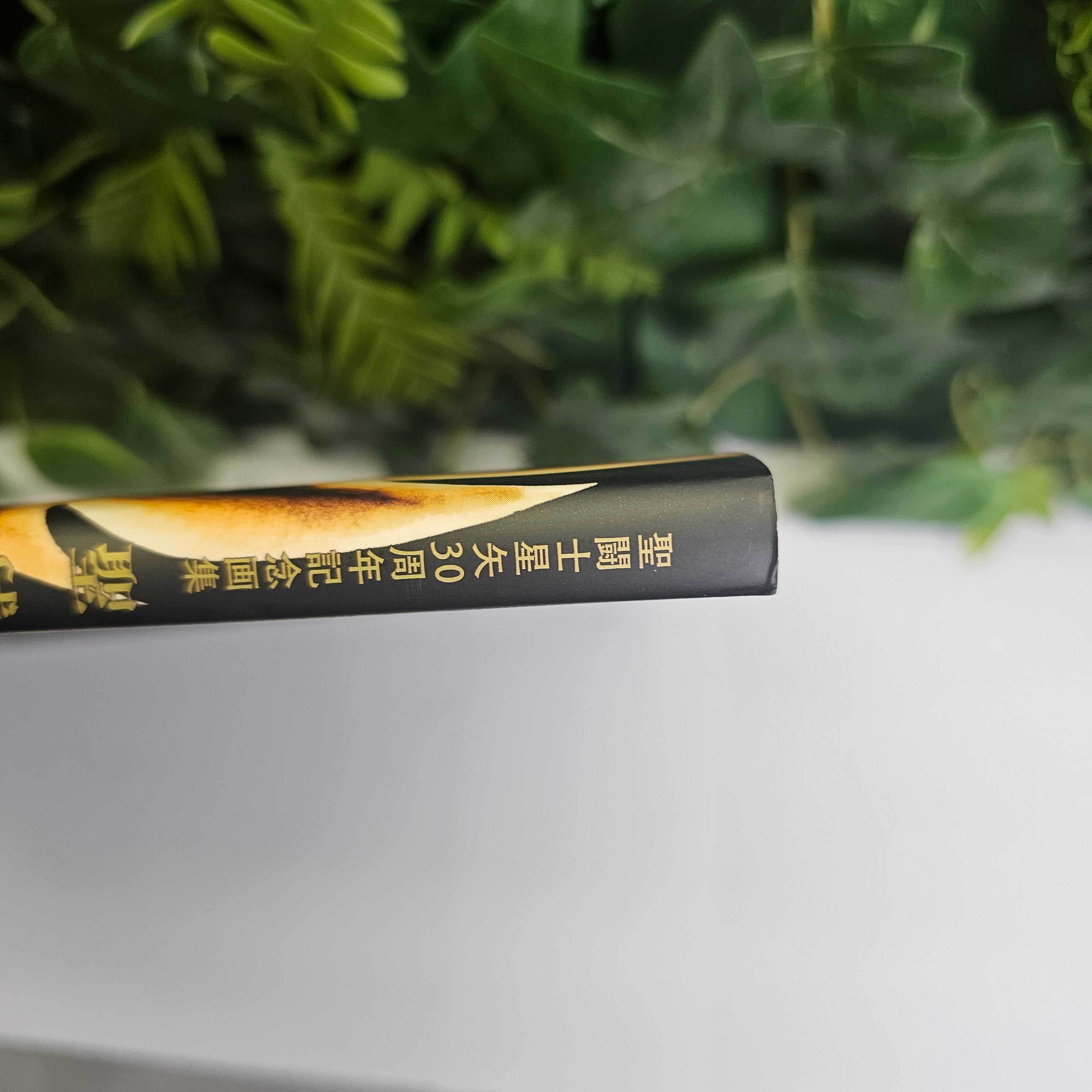 Saint Seiya - Artbook 30 ans