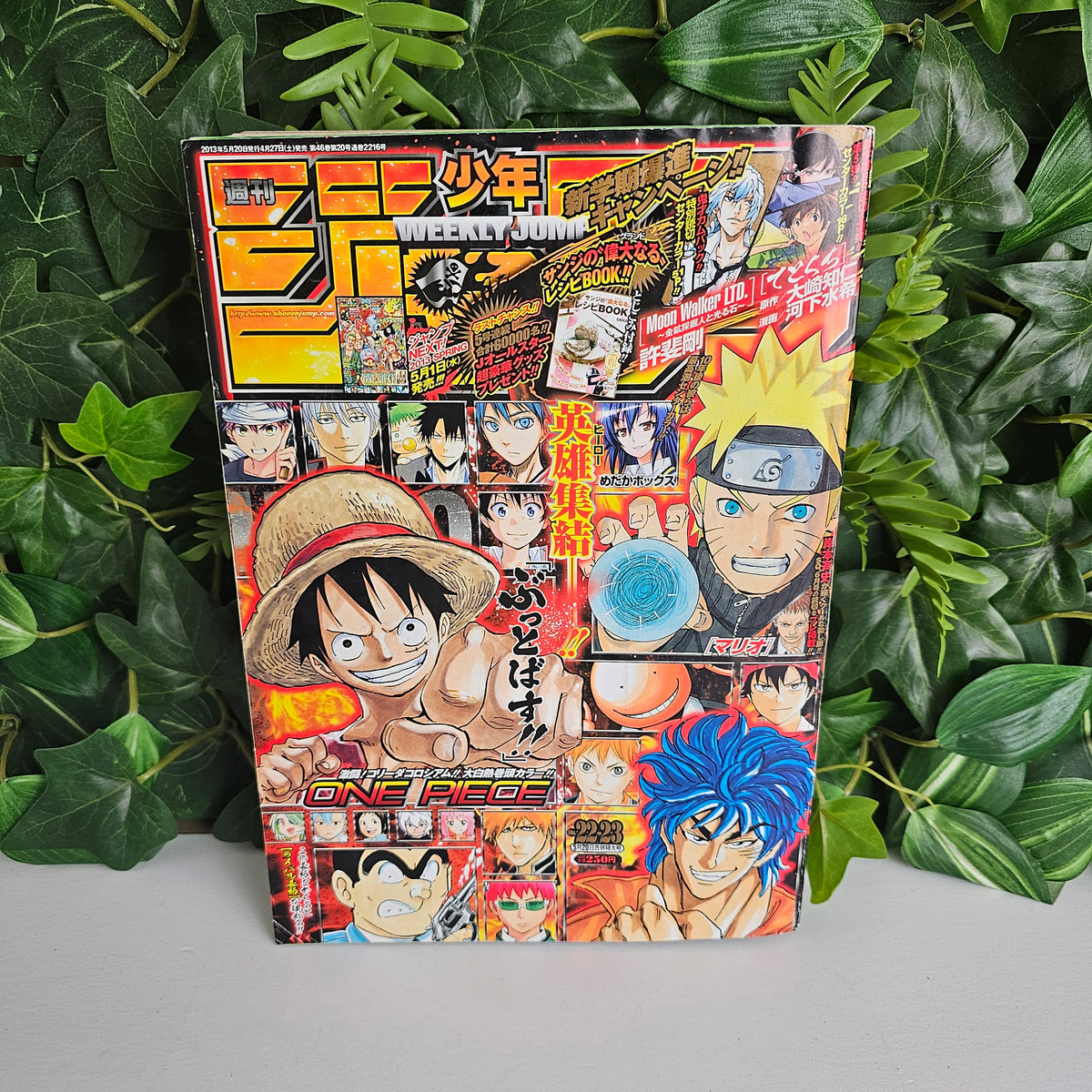 Weekly Shonen Jump n°22-23 (2013) (One Piece)