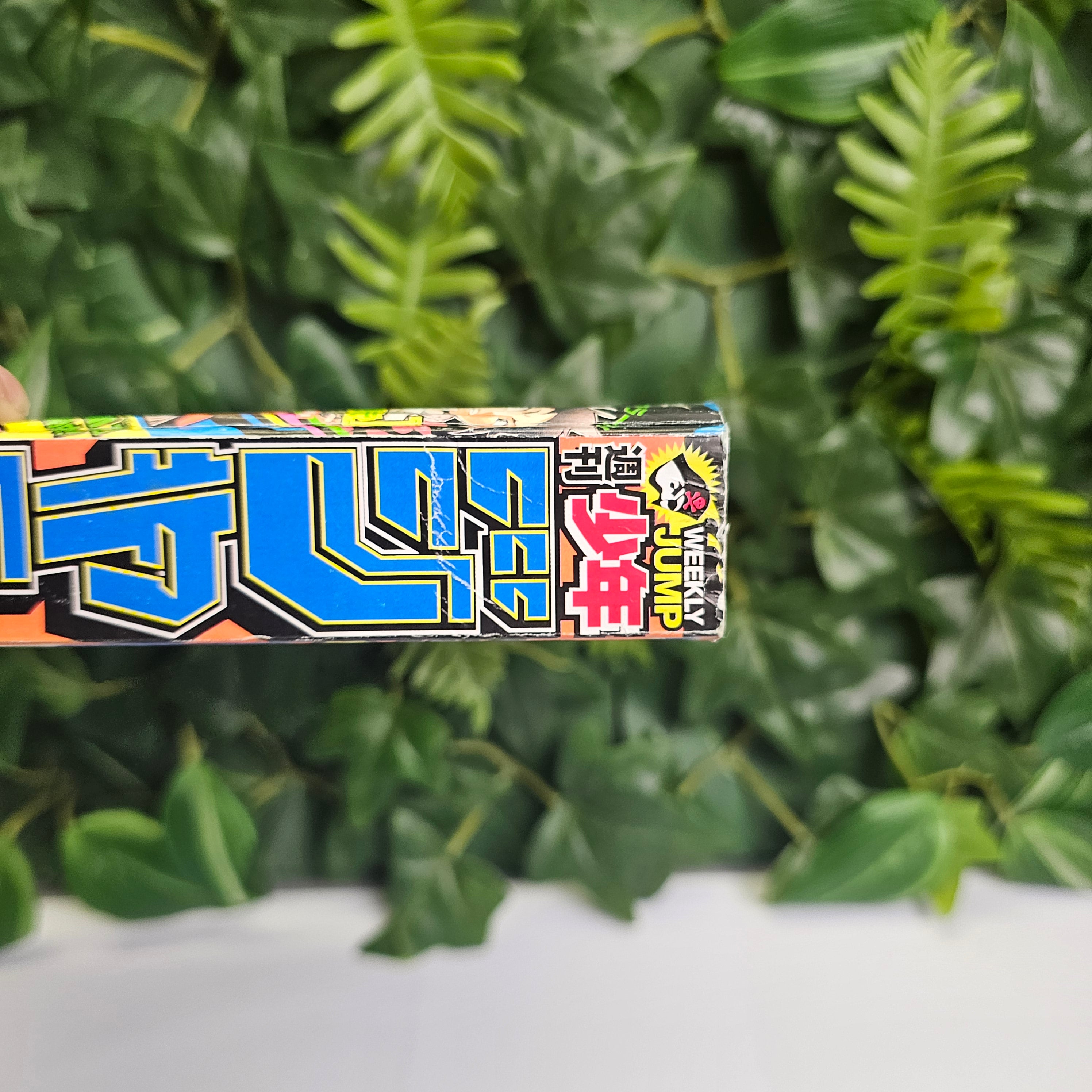 Weekly Shonen Jump n°8 (2013)