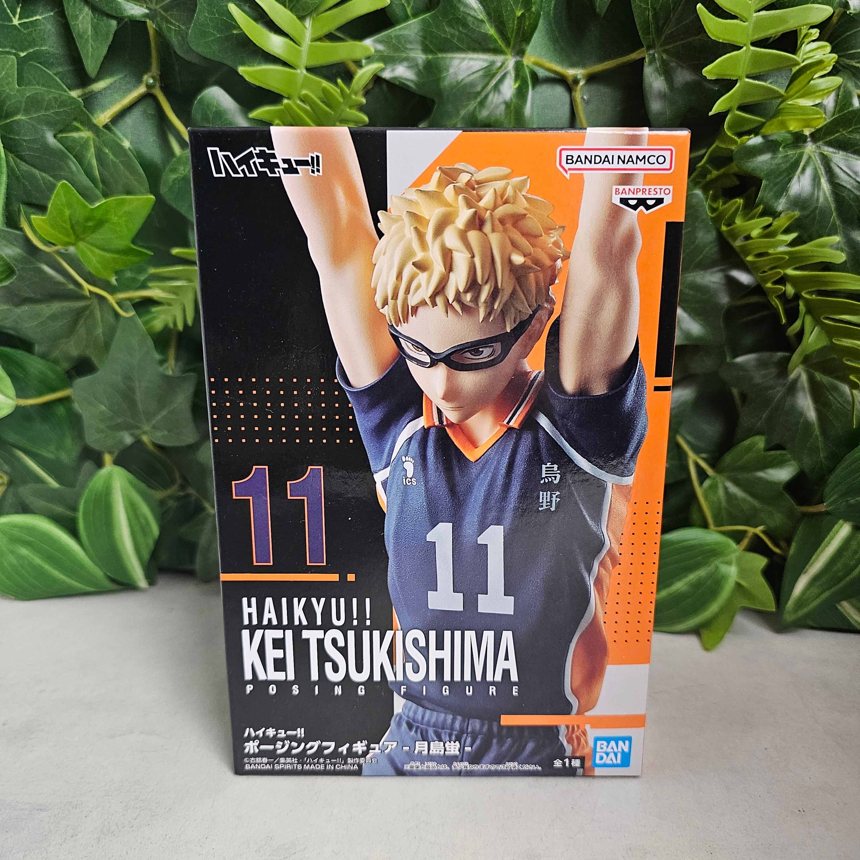 Posing Figure - Kei Tsukishima