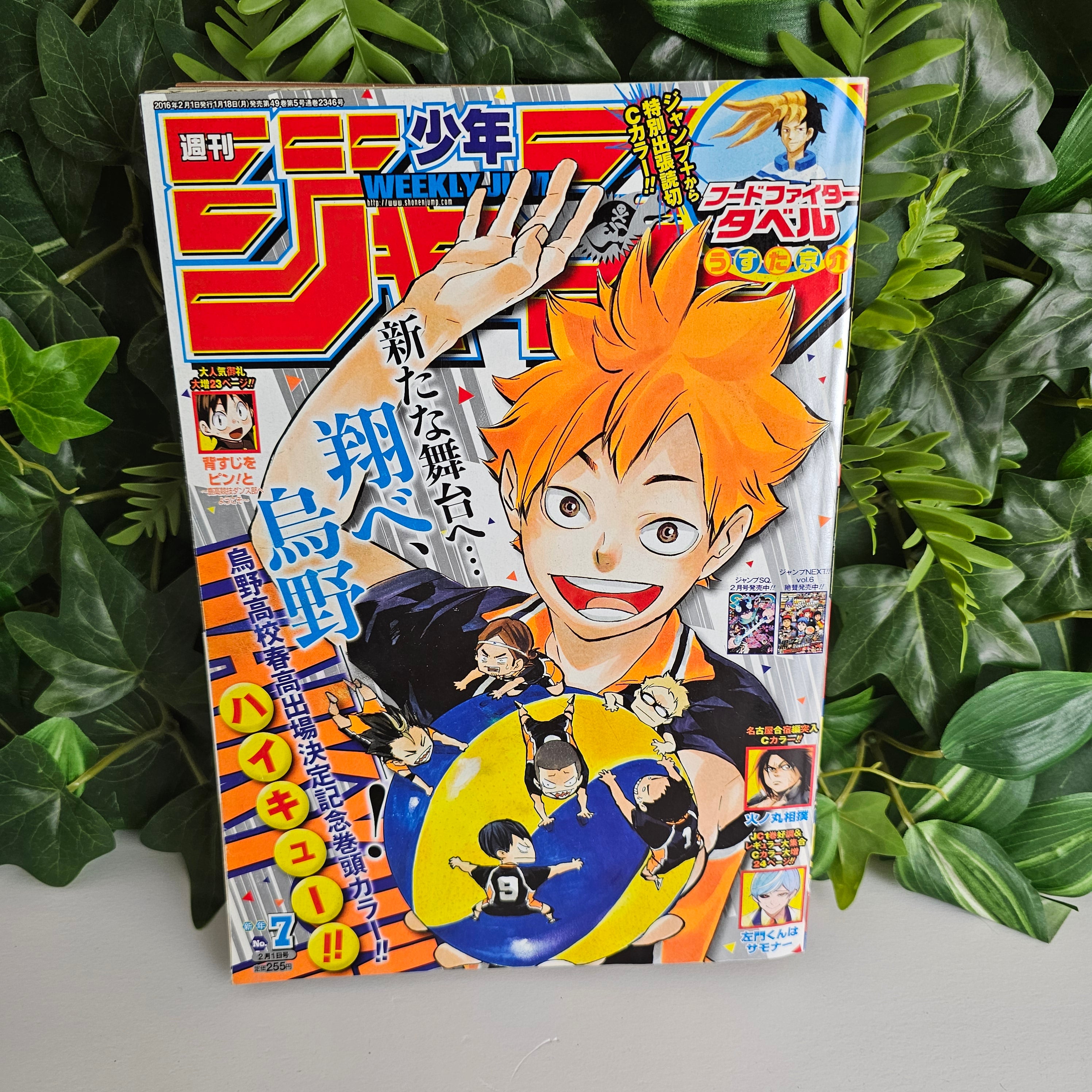Weekly Shonen Jump n°7 (2016) (Haikyu!!)