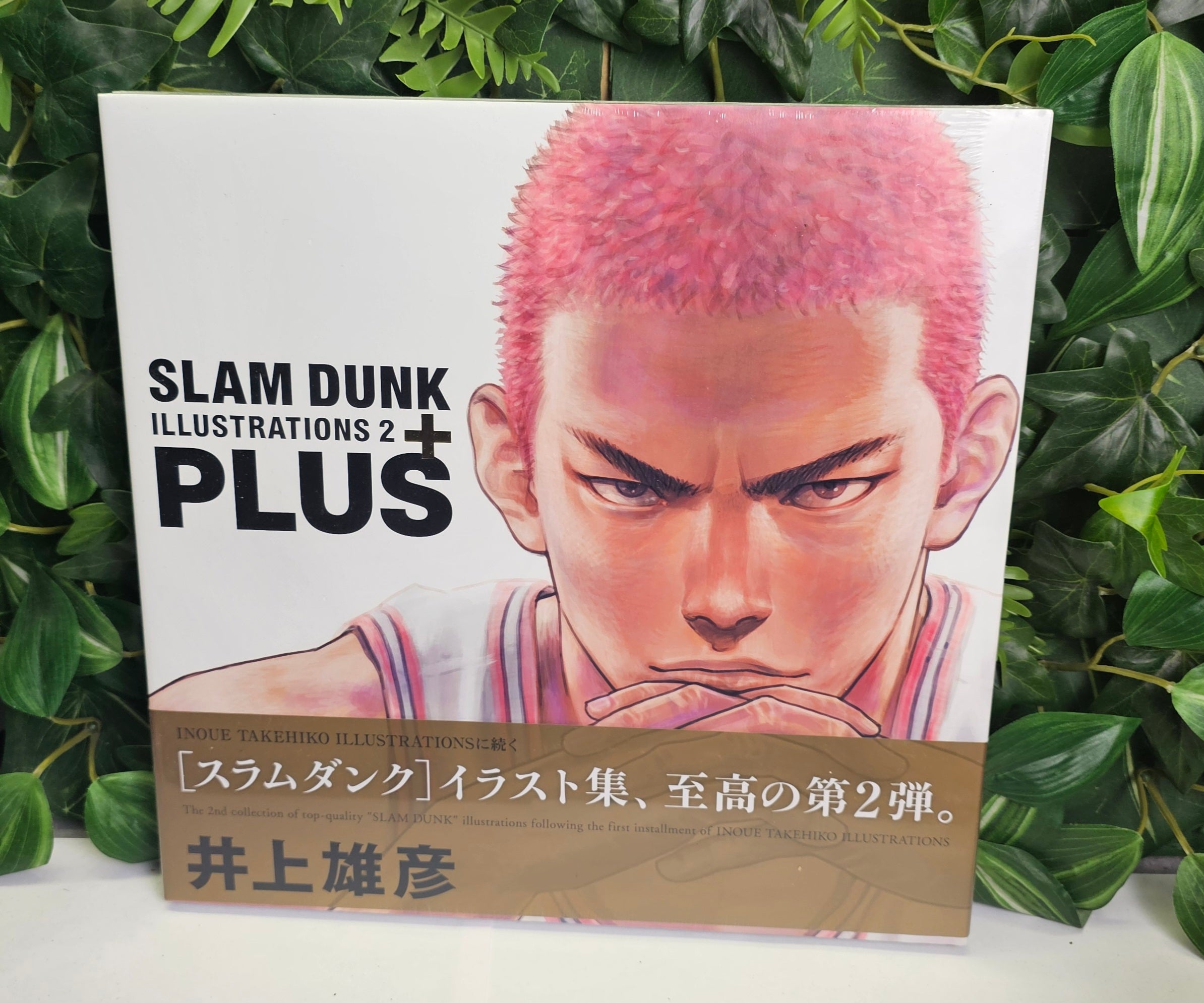 Slam Dunk Illustrations 2 plus