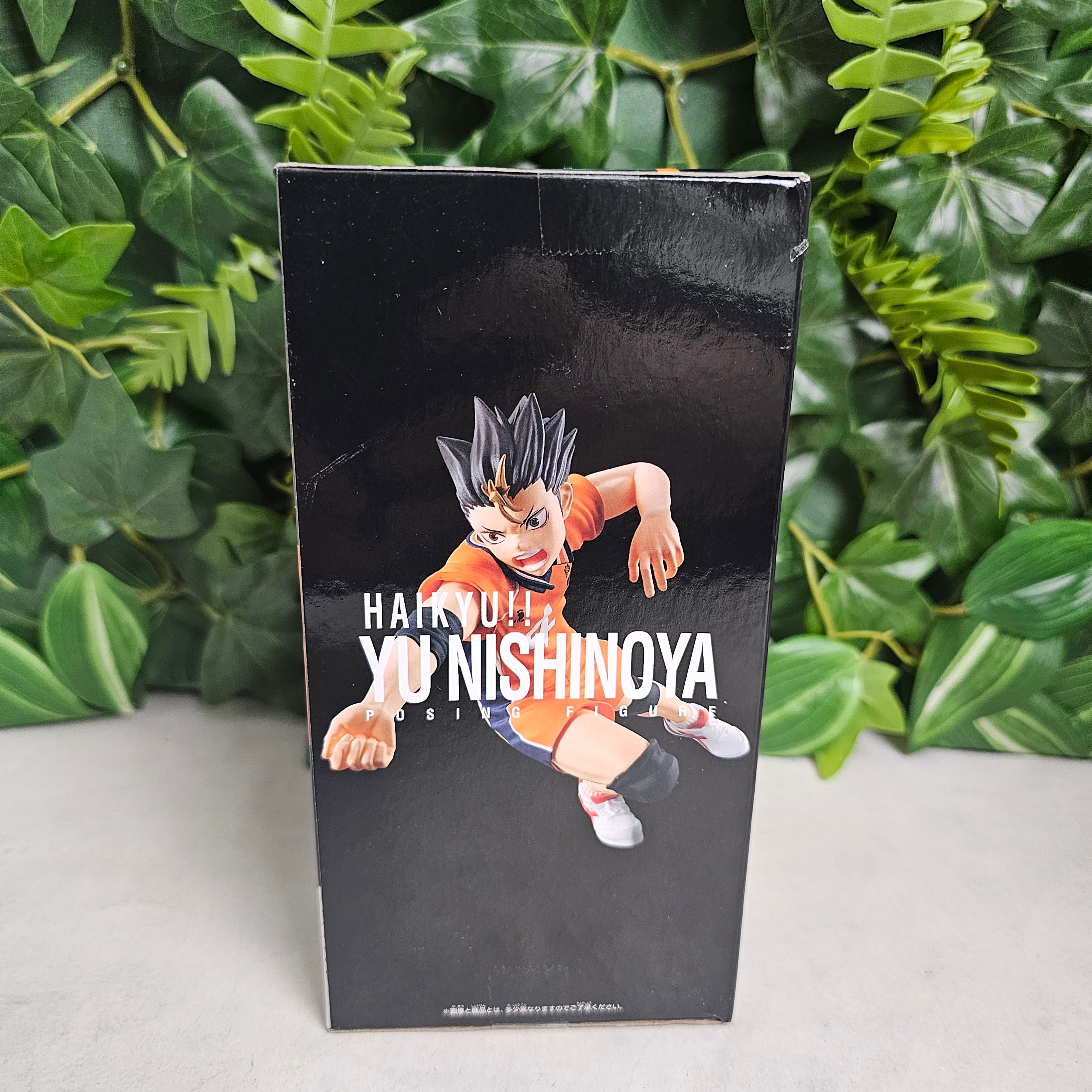 Posing Figure - YU Nishinoya