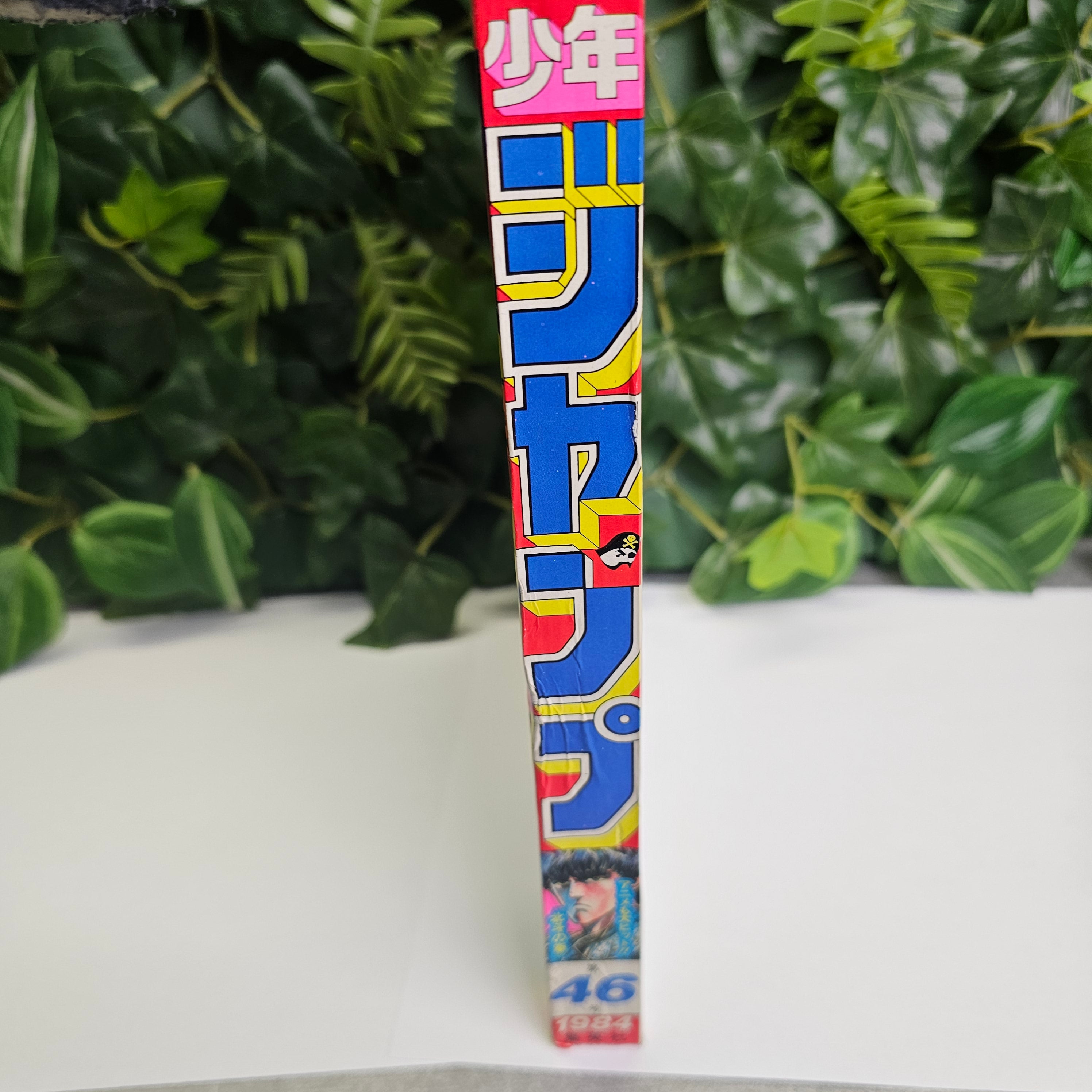 Weekly Shonen Jump n°46 (1984)