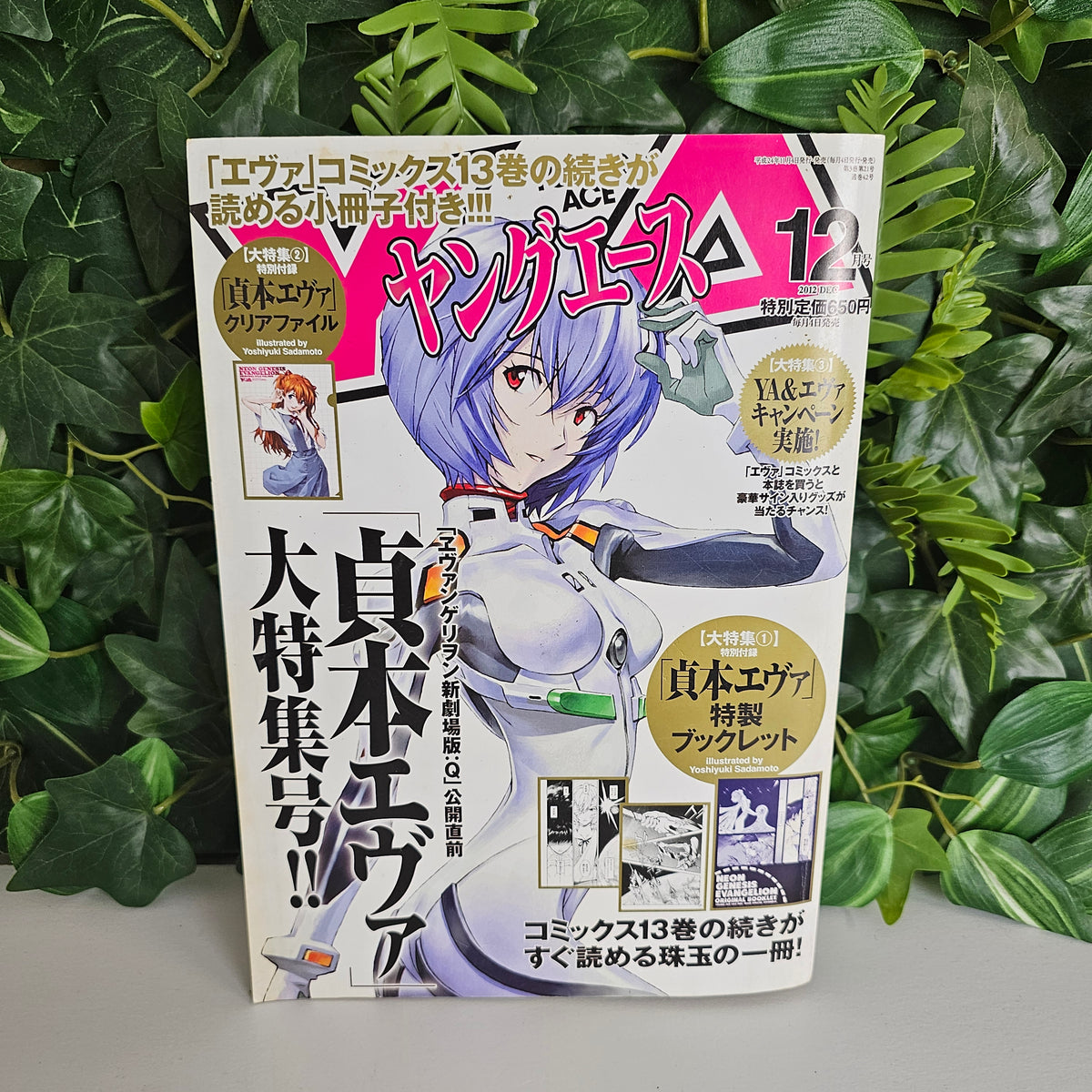 Young Ace n°12 (2012) (Neon Genesis Evangelion)