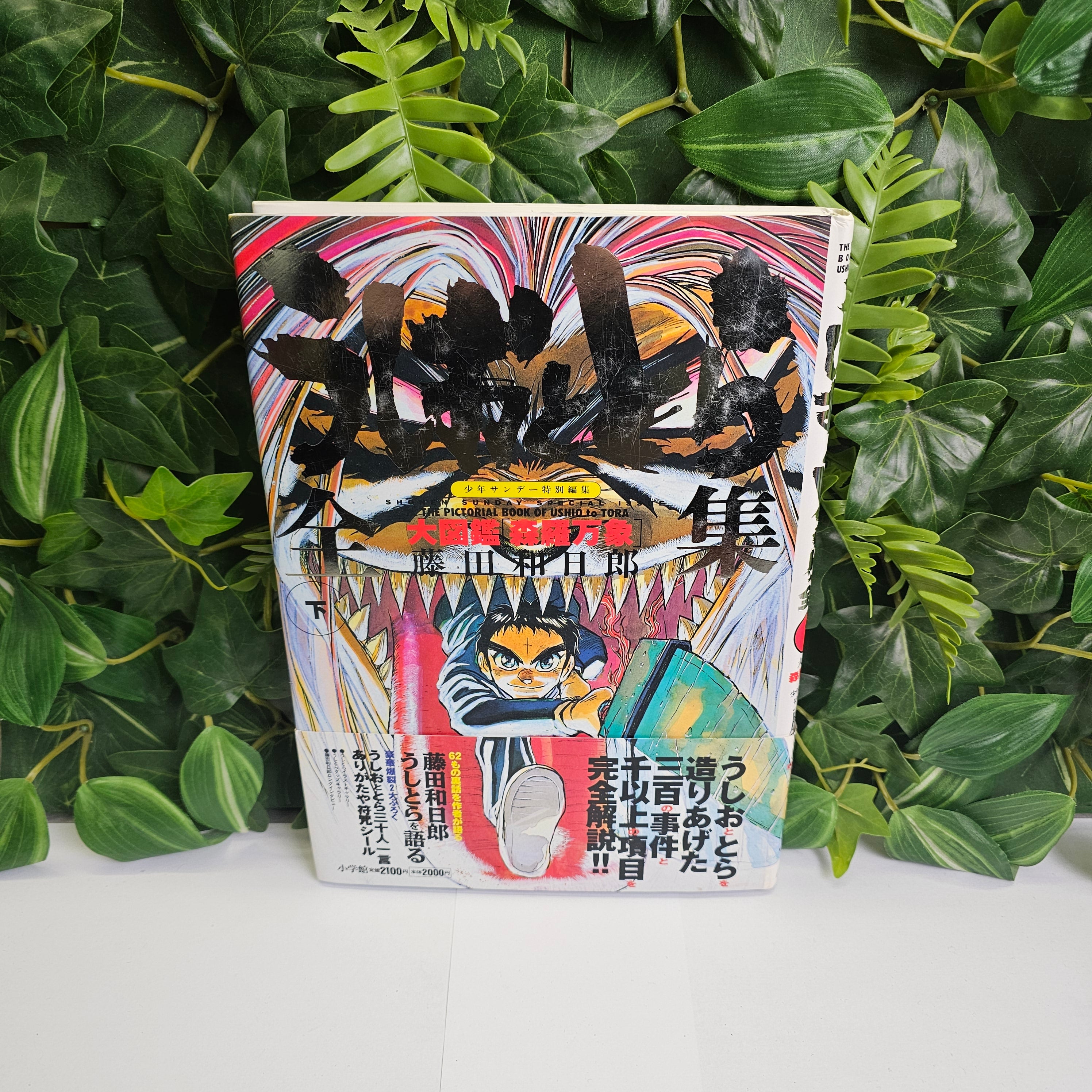 Ushio to Tora - Complete Works part.2