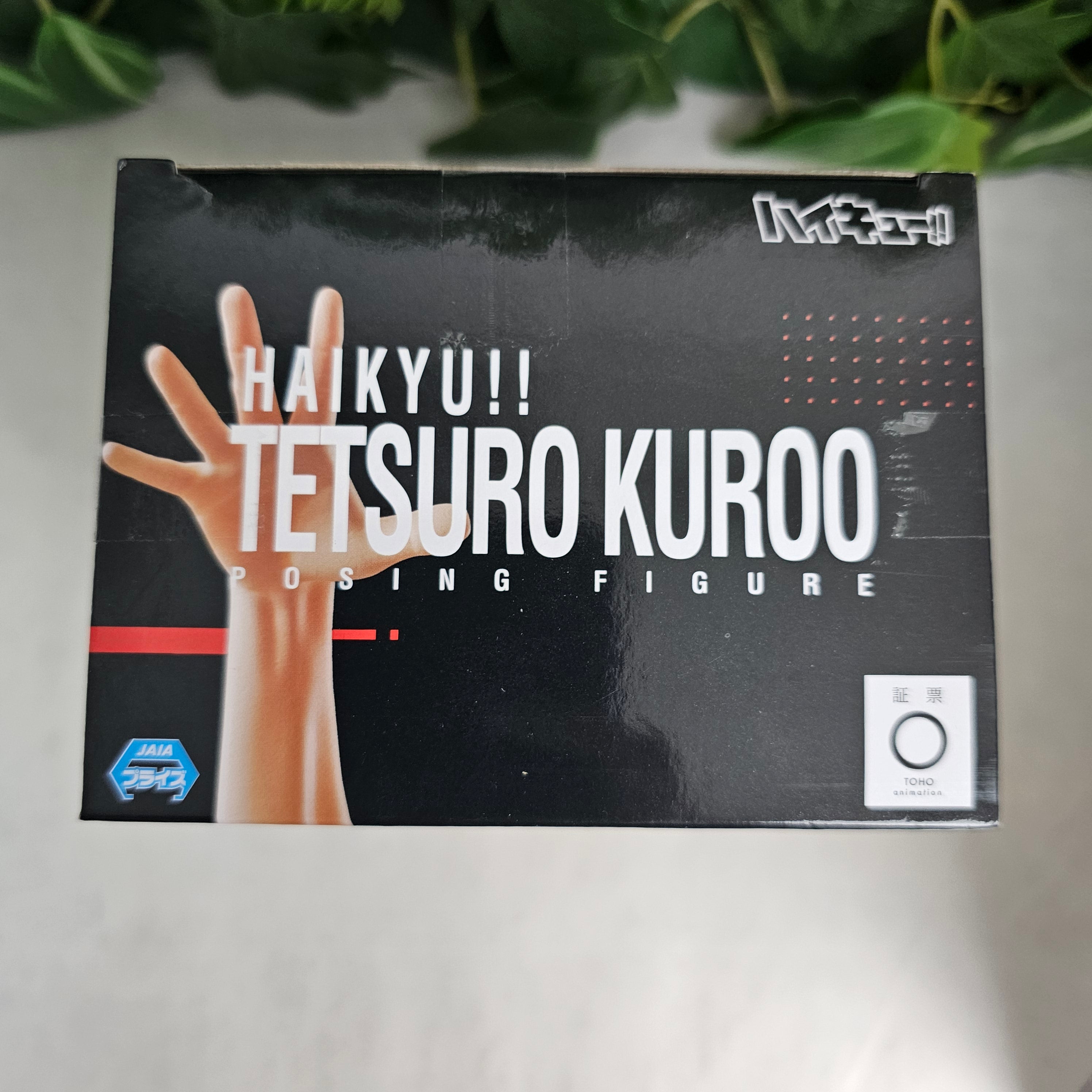 Posing Figure - Tetsuro Kuroo