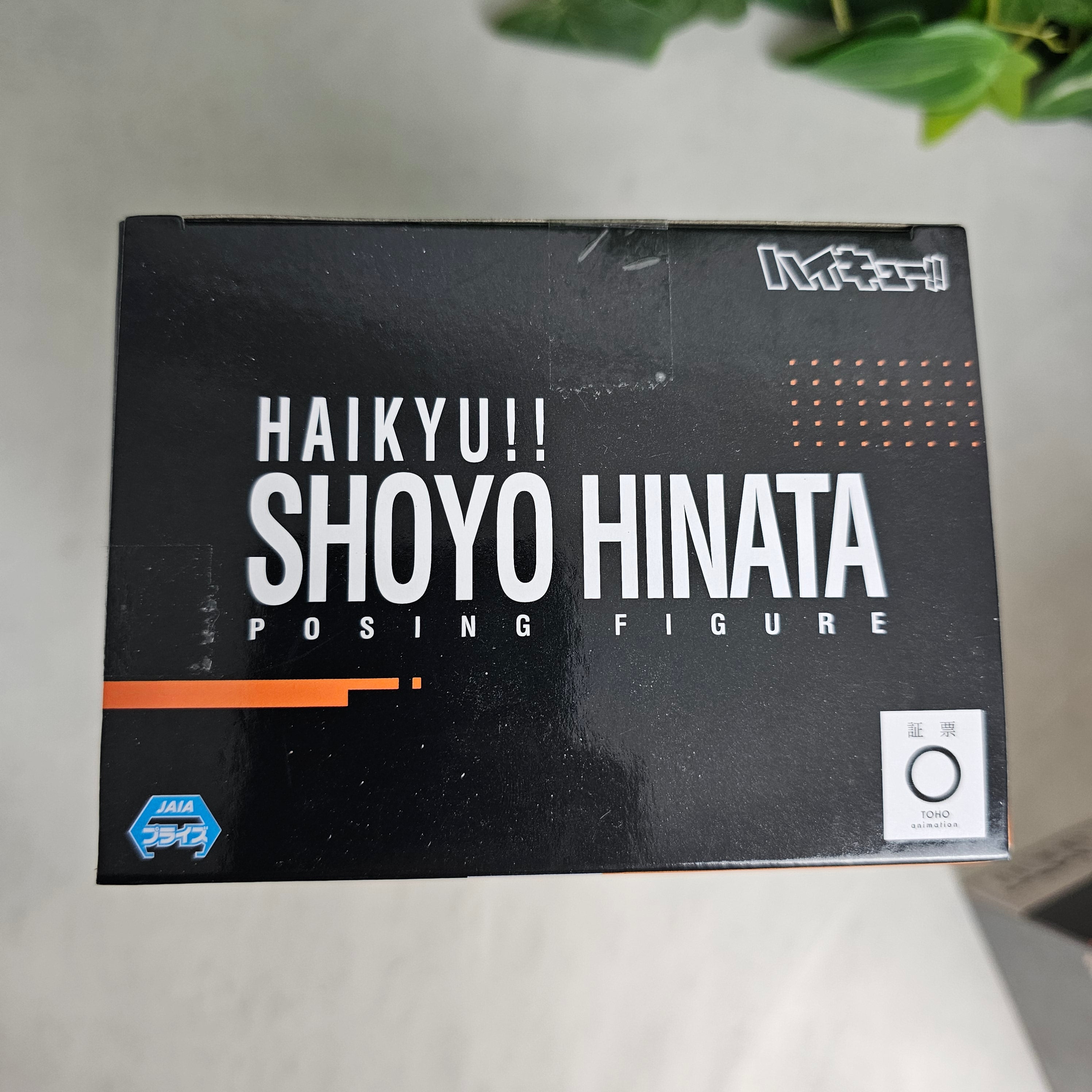 Posing Figure - Shoyo Hinata