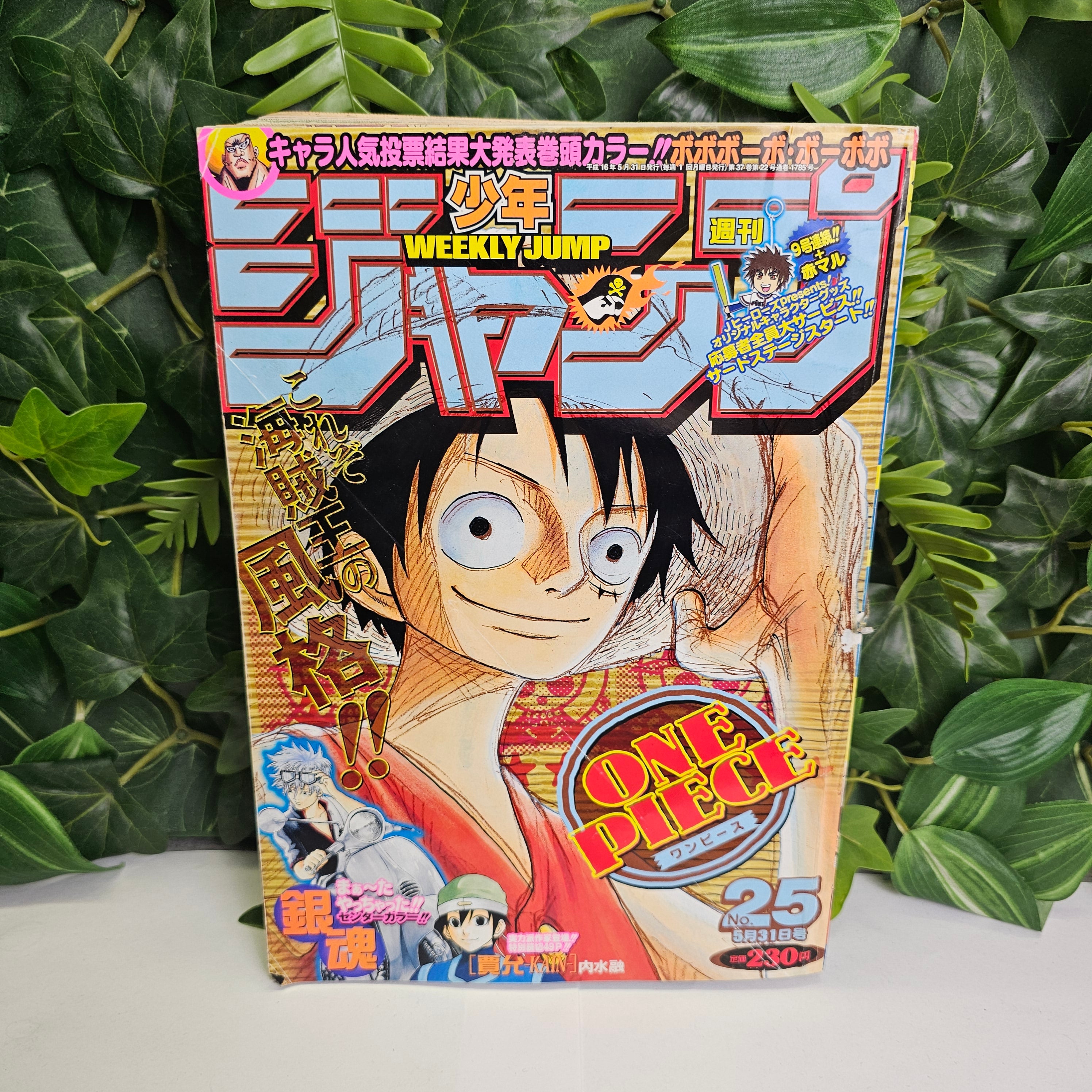 Weekly Shonen Jump n°25 (2004) (One Piece)