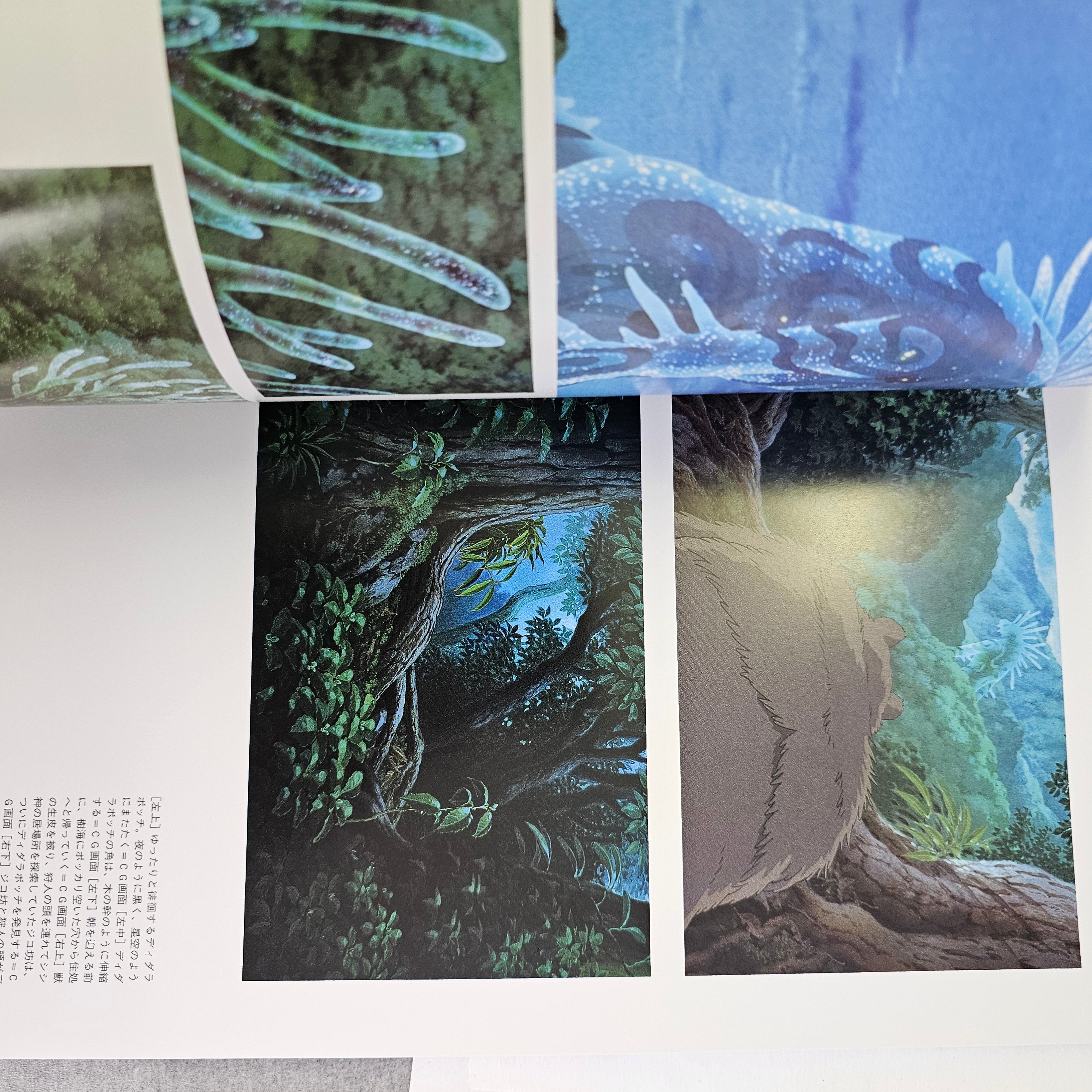The Art of Princess Mononoke