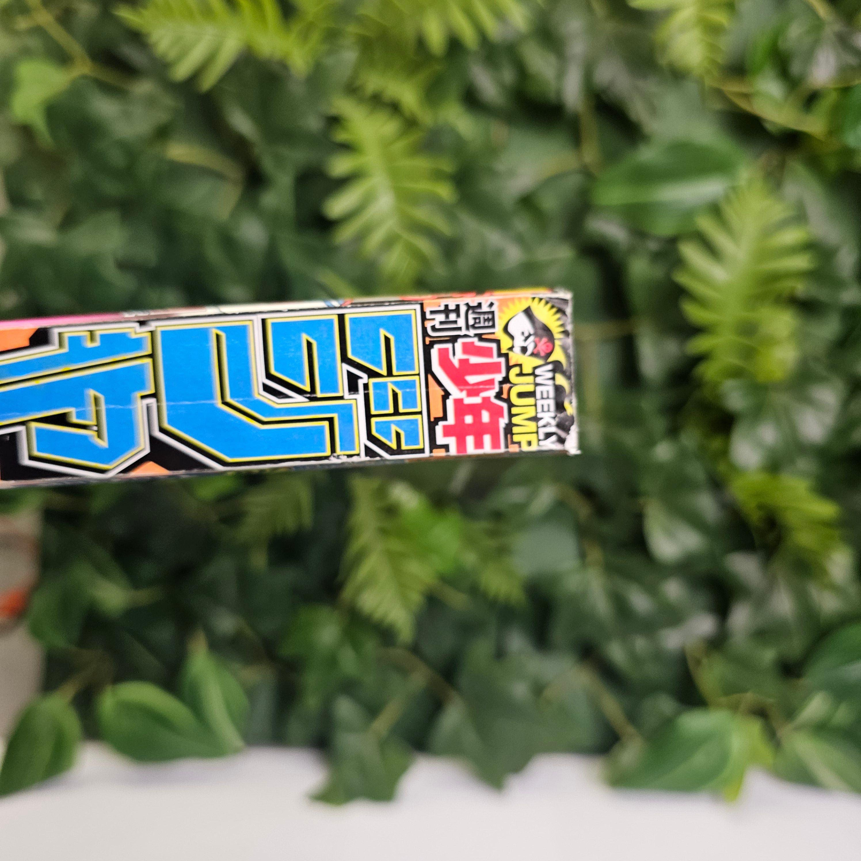 Weekly Shonen Jump n°48 (2013) (Naruto)