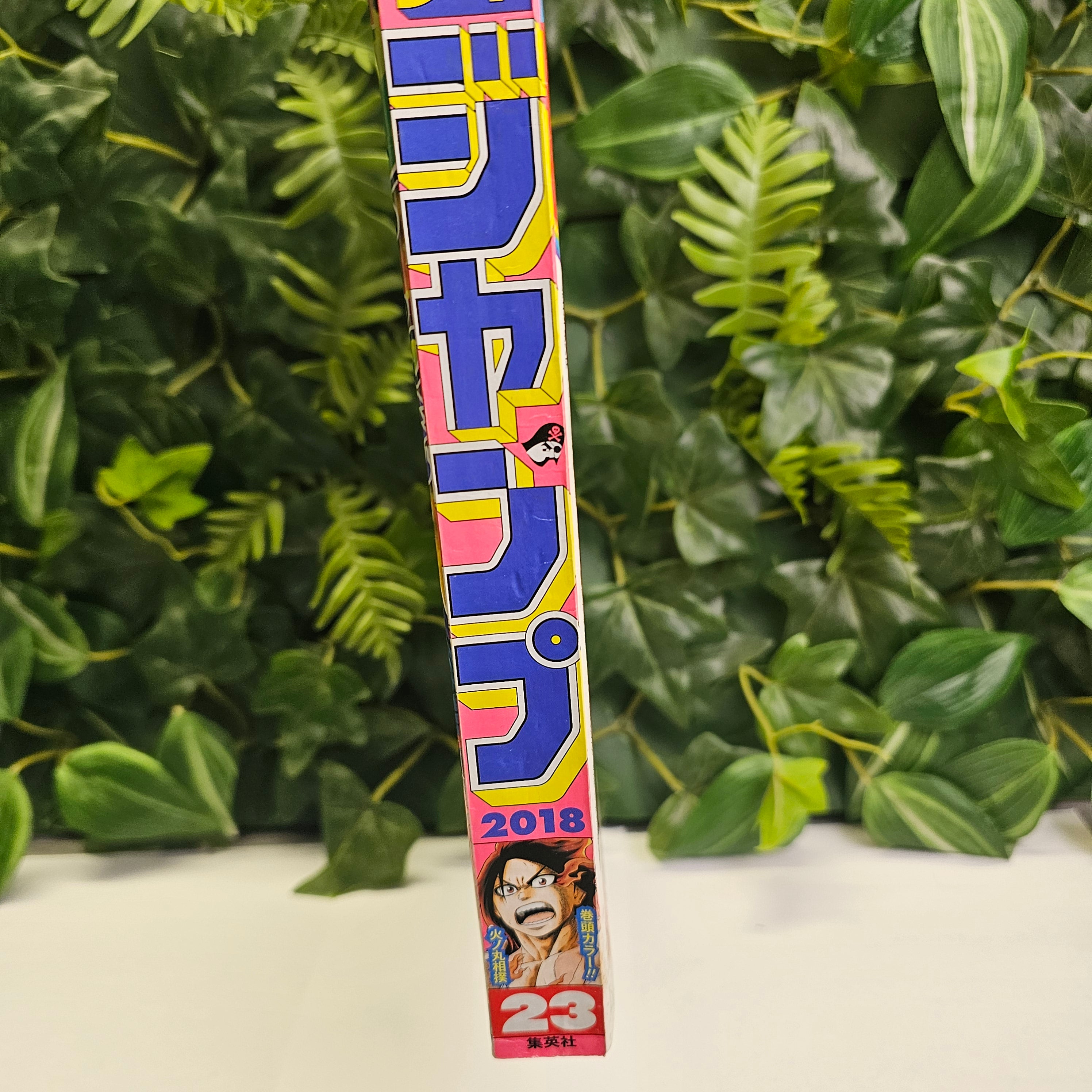 Weekly Shonen Jump n°23 (2018)