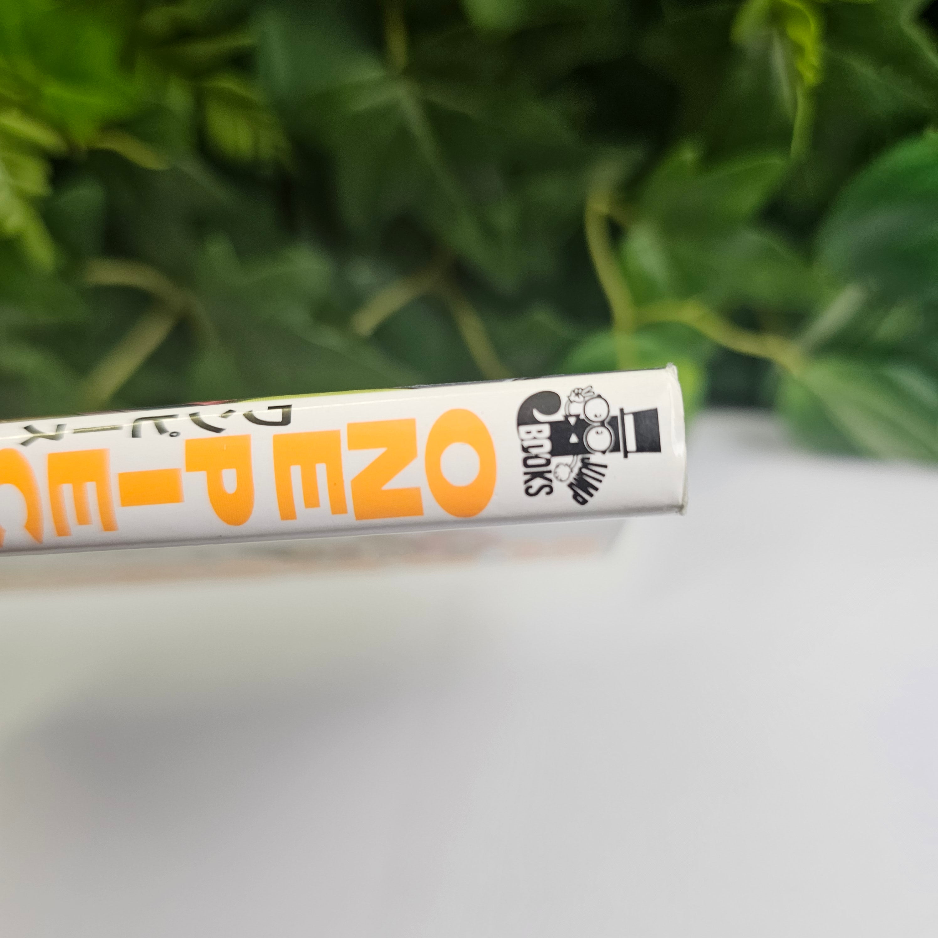 One Piece - Novel KARAKURI CASTLE