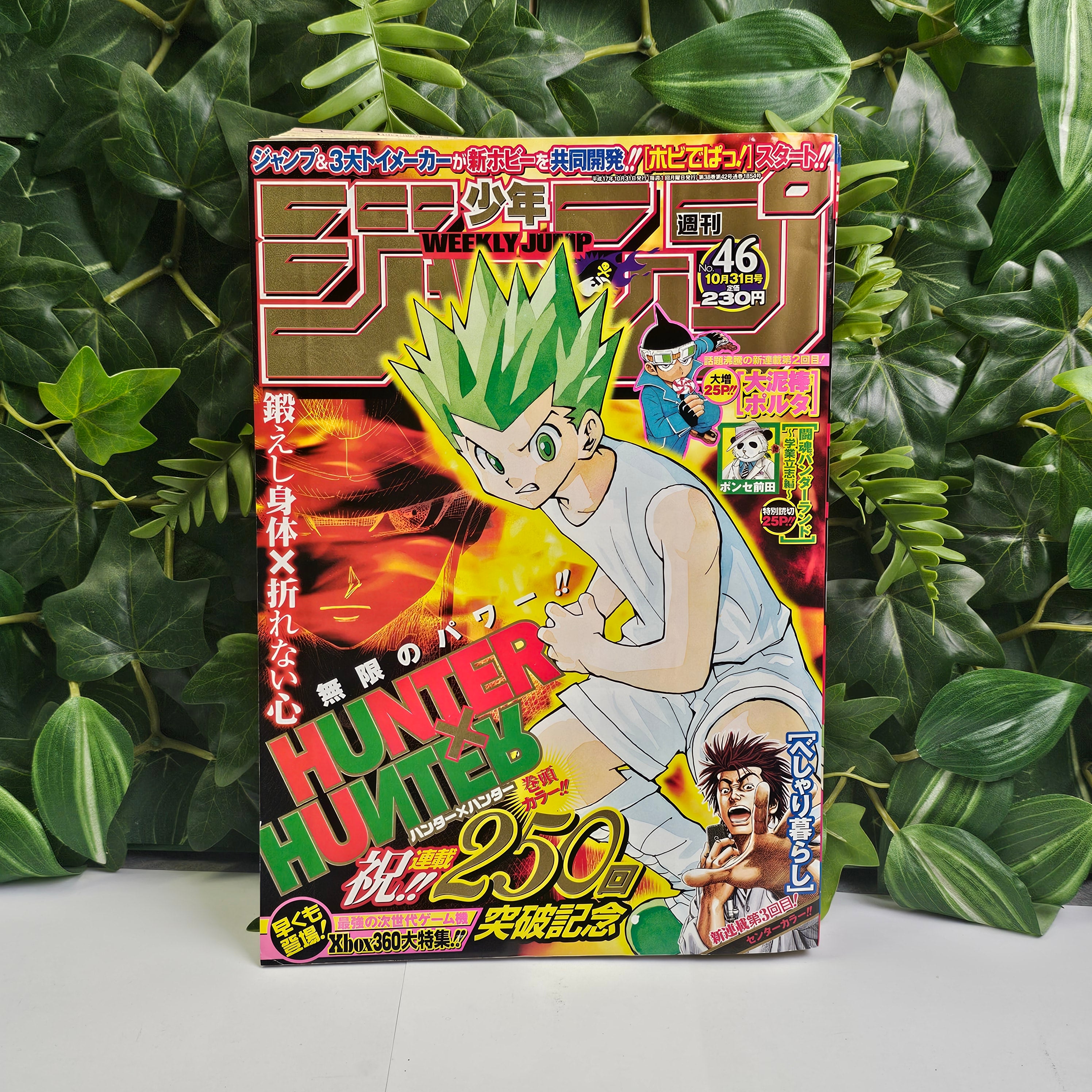 Weekly Shonen Jump n°46 (2005) (Hunter x Hunter)