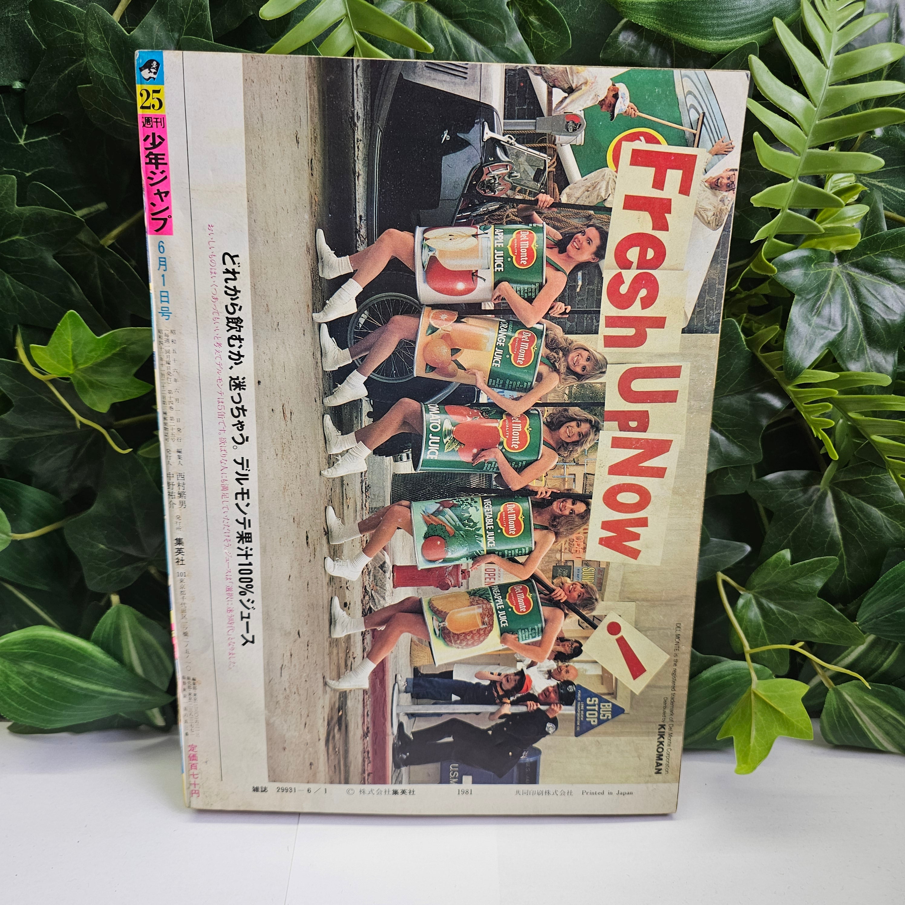 Weekly Shonen Jump n°25 (1981)
