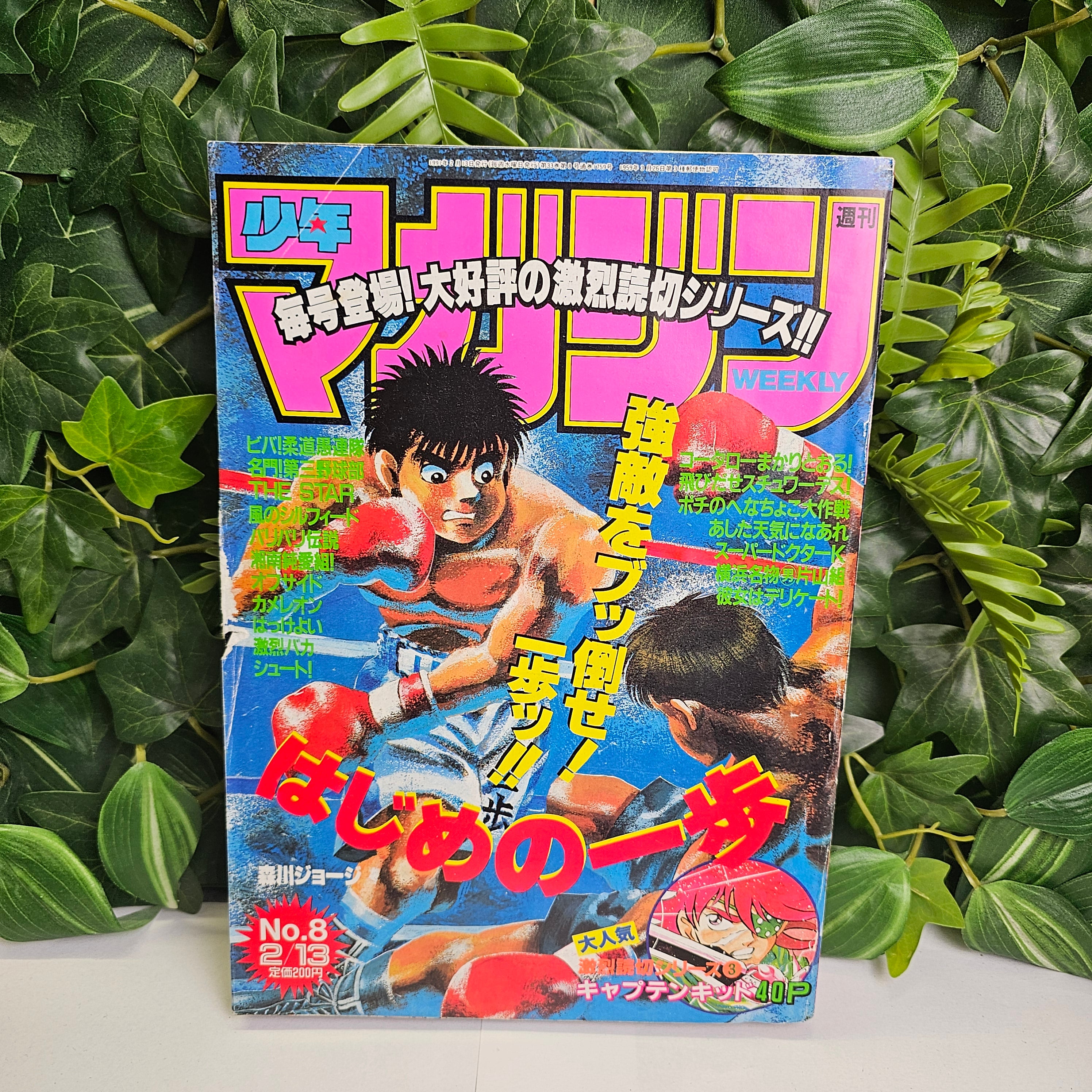 Weekly Shonen Magazine n°8 (1991) (Hajime No Ippo)