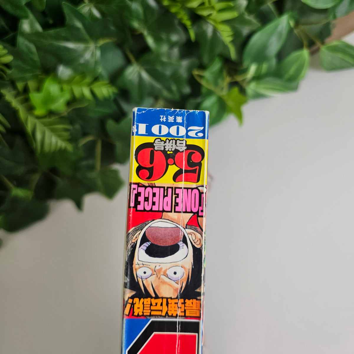 Weekly Shonen Jump n°5-6 (2001) (One Piece)
