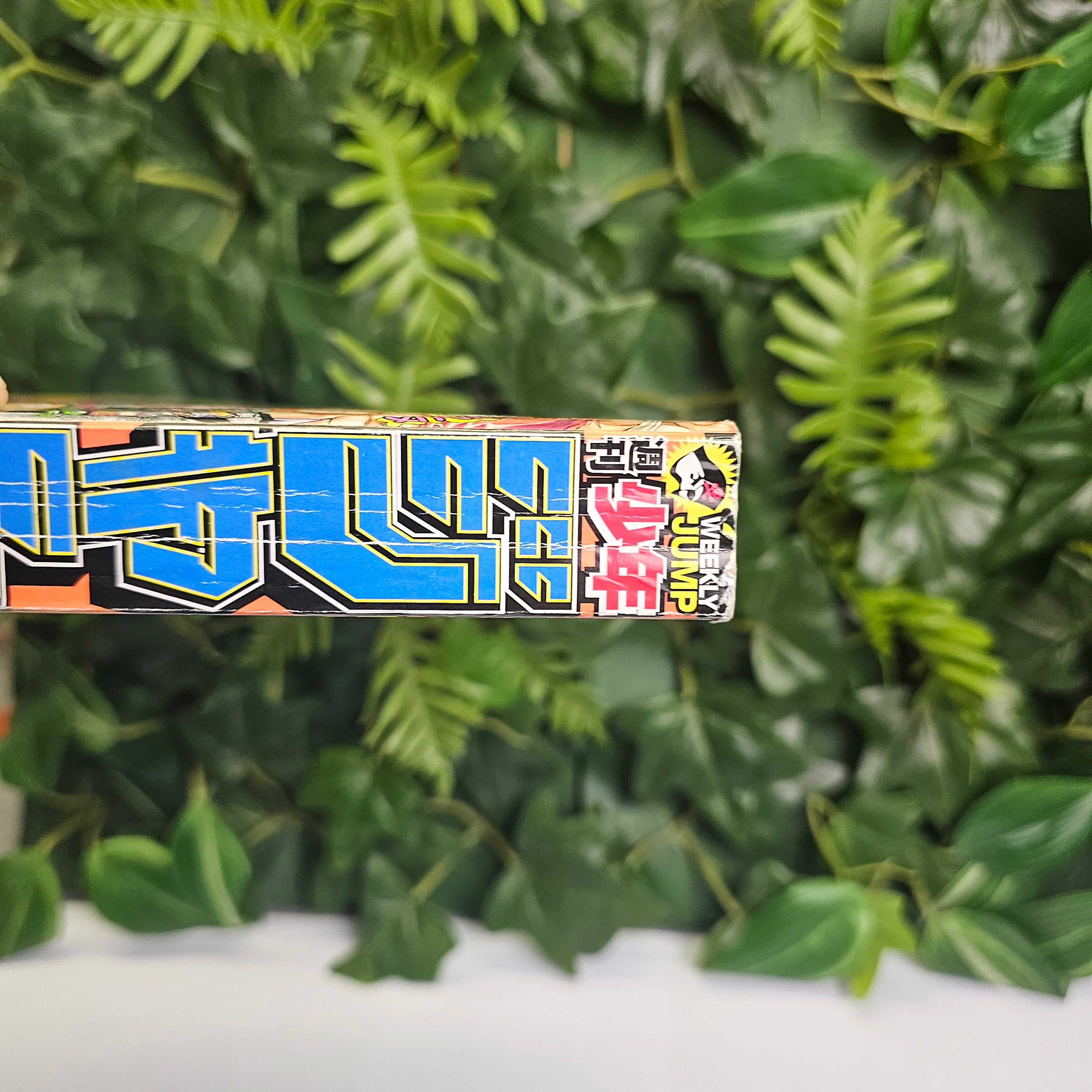 Weekly Shonen Jump n°14 (2013) (Beelzebub)