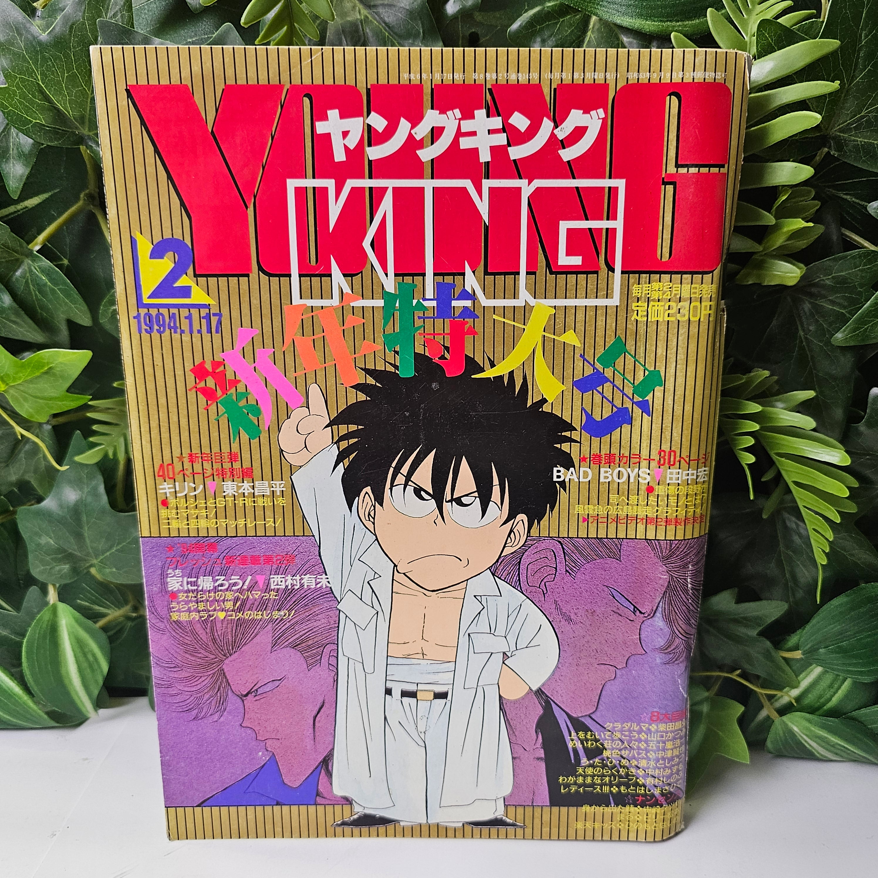 Young King n°2 (1994)
