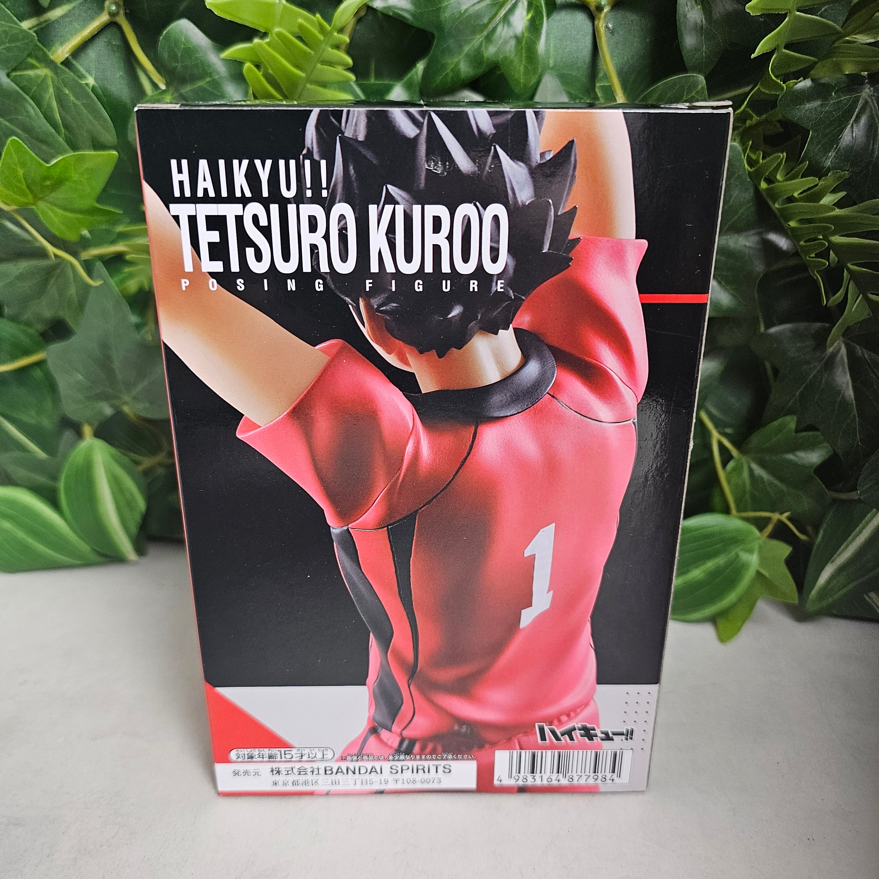 Posing Figure - Tetsuro Kuroo