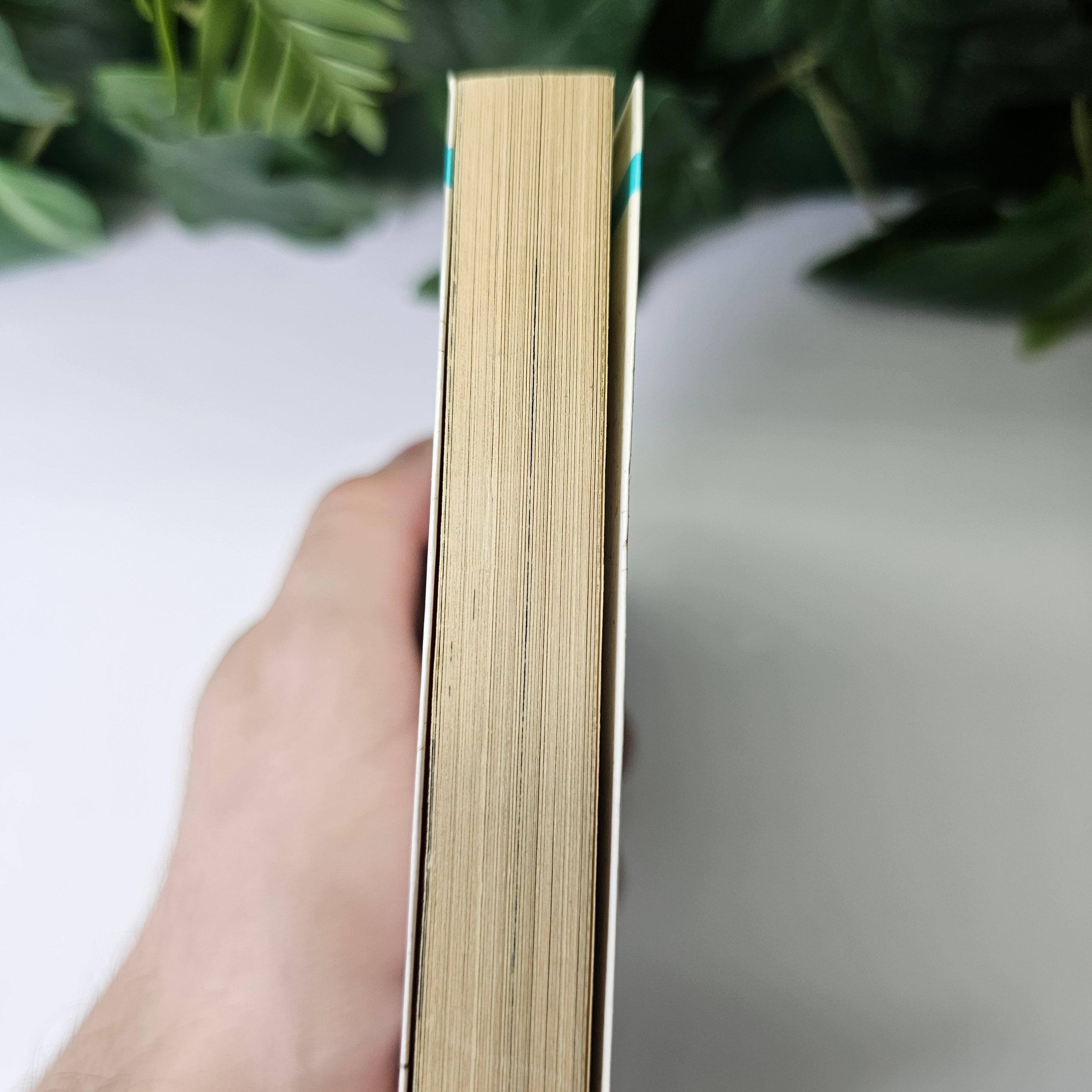 Slow Step - Tome 1 (VO)