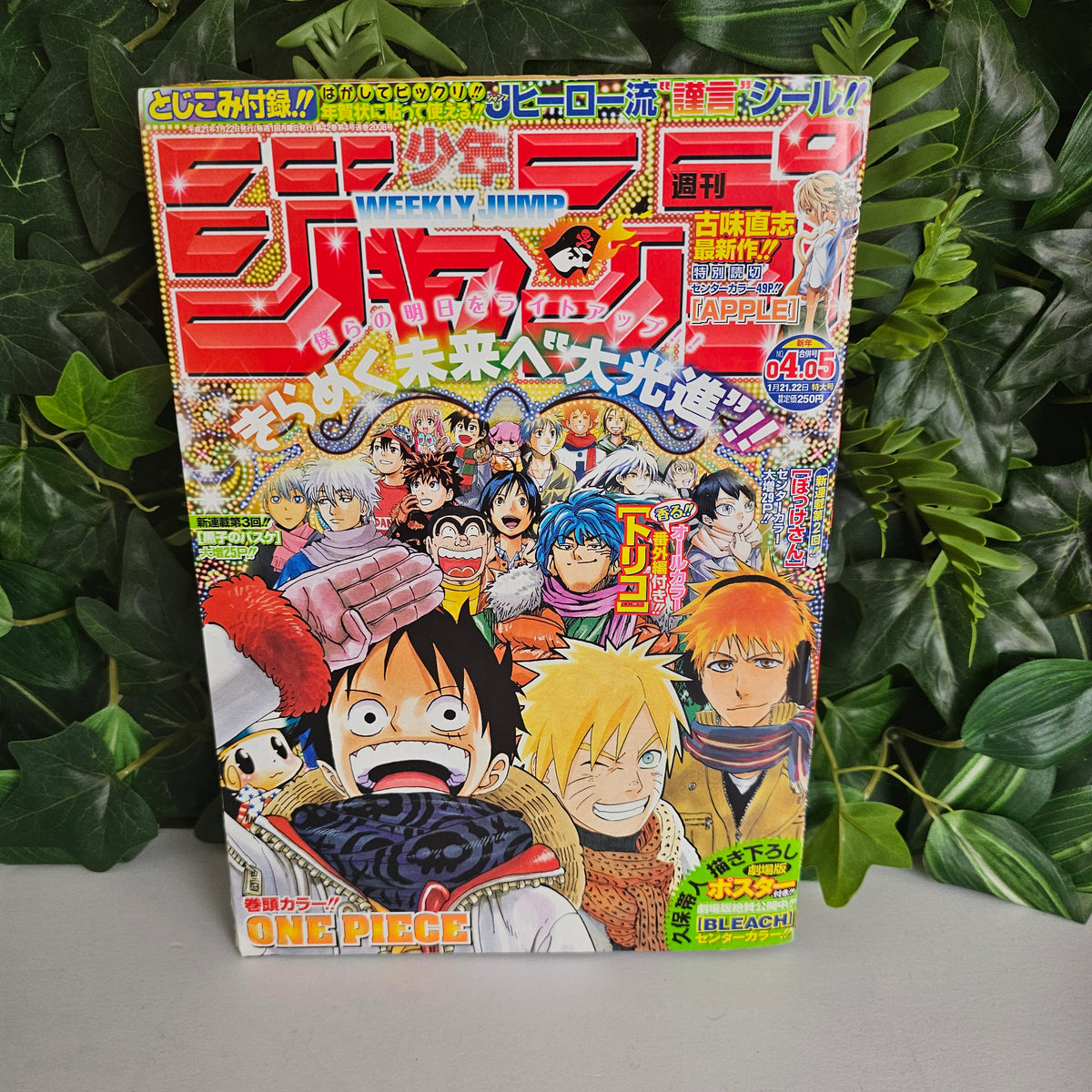 Weekly Shonen Jump n°4-5 (2009) (One Piece)