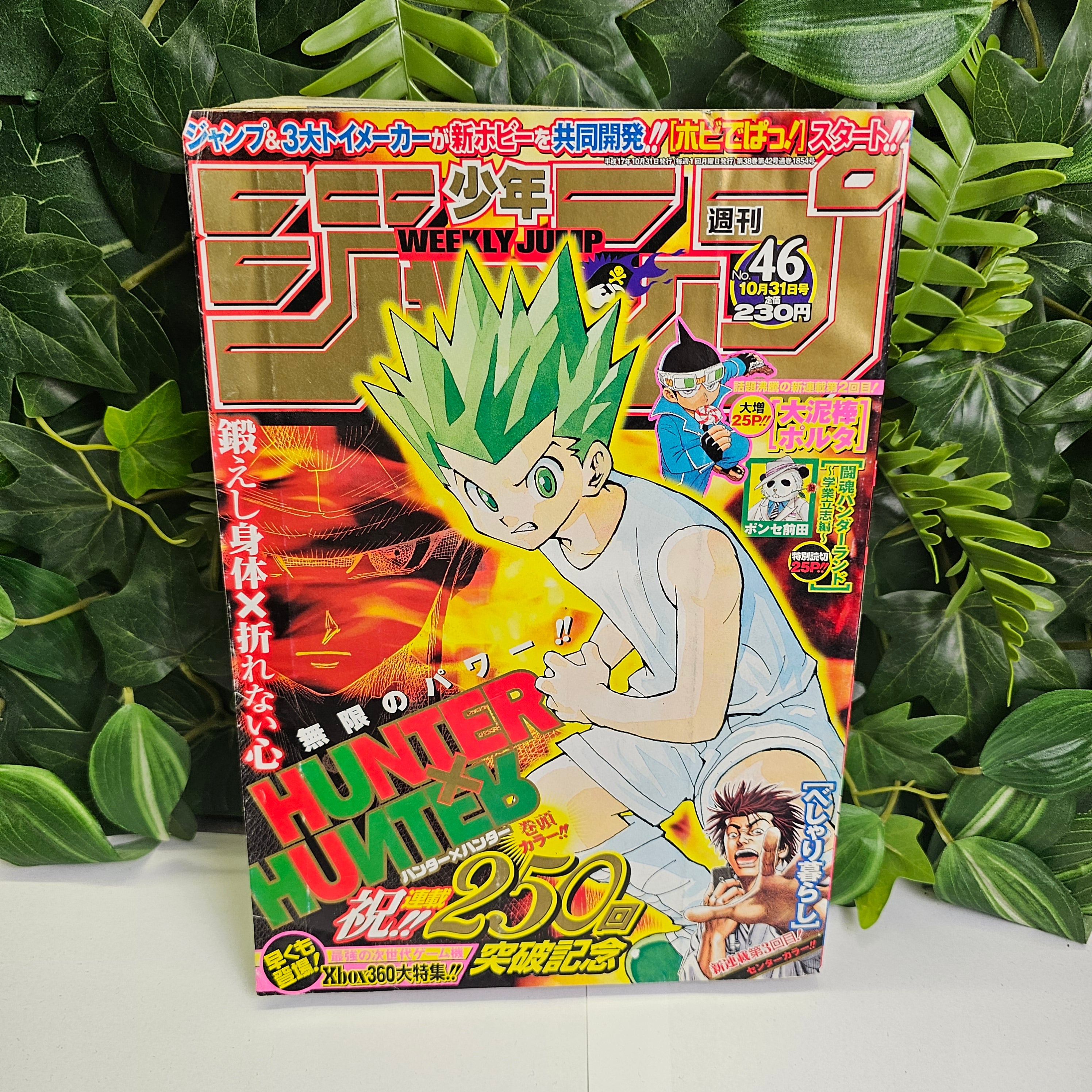 Weekly Shonen Jump n°46 (2005) (Hunter x Hunter)
