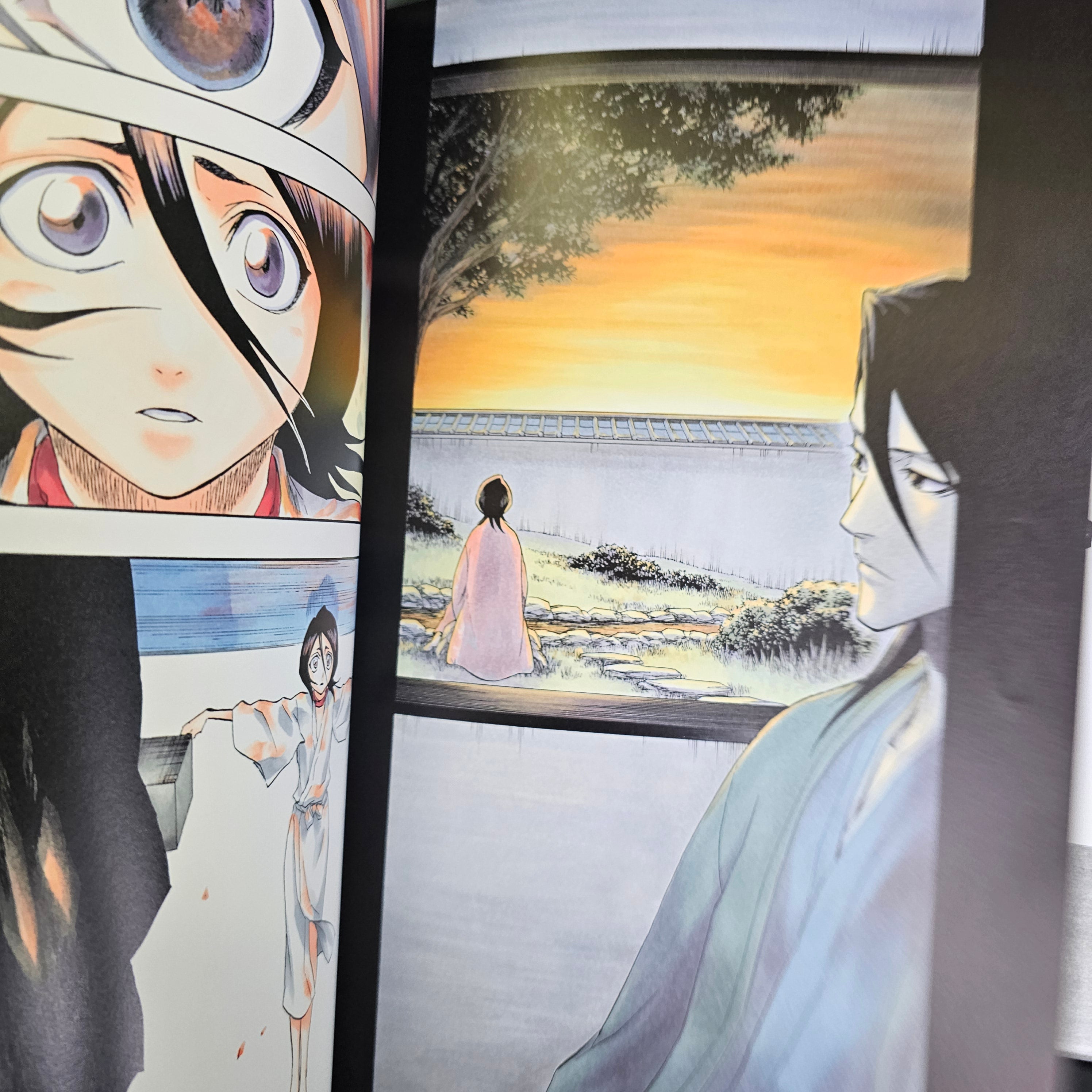 All Colour but the Black: The Art of Bleach