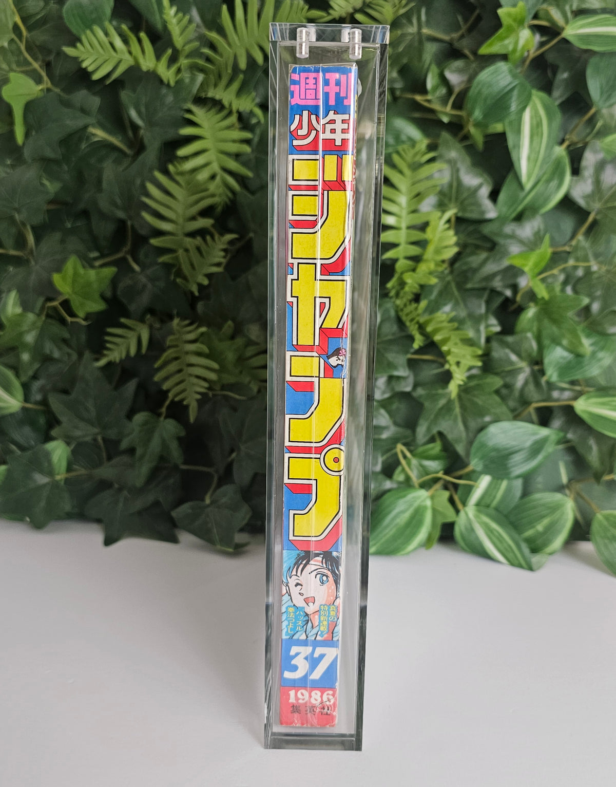 Protection acrylique Weekly Shonen Jump & magazines