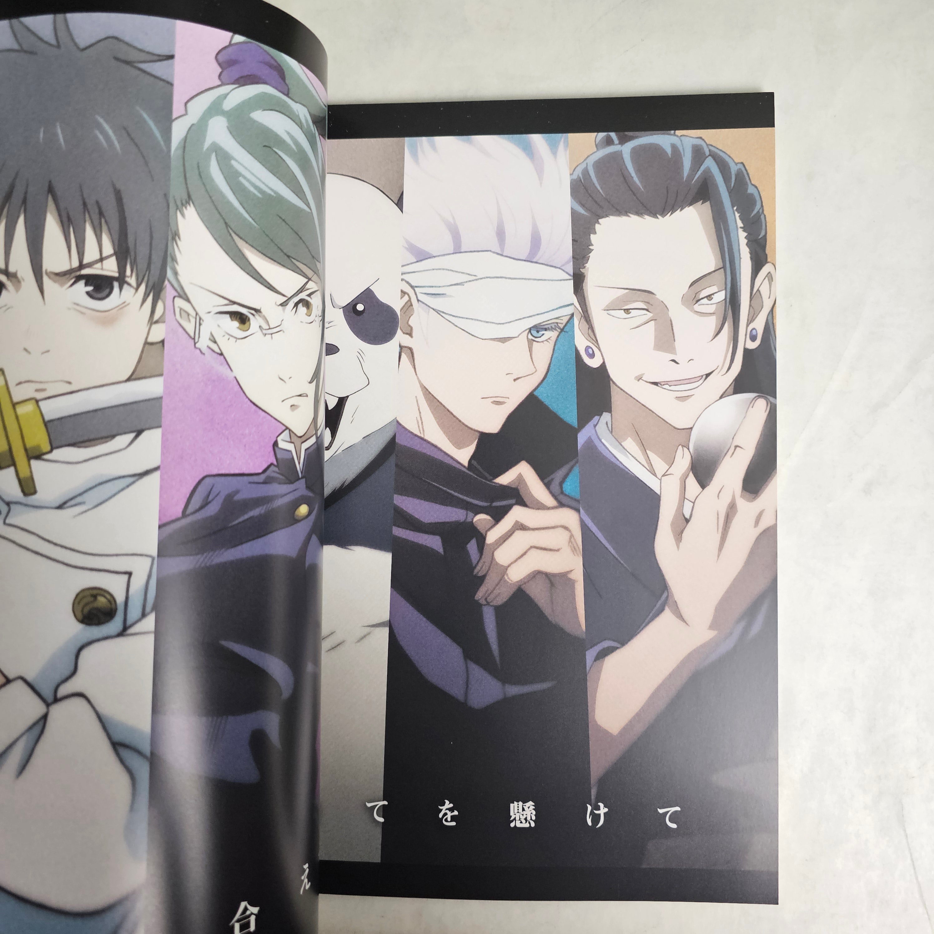 Jujutsu Kaisen 0 - Pamphlet standard edition