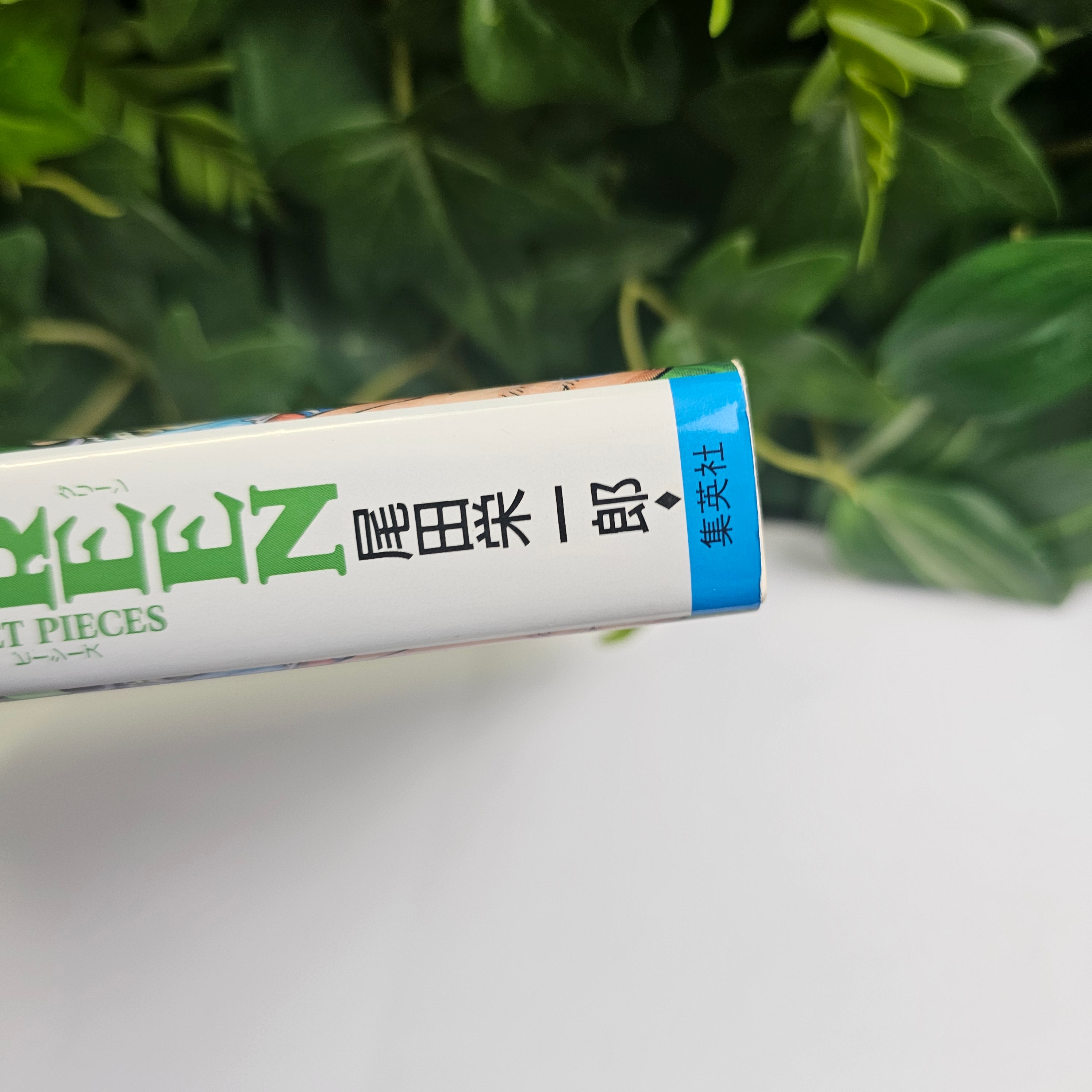 One Piece - Tome GREEN Secret pieces