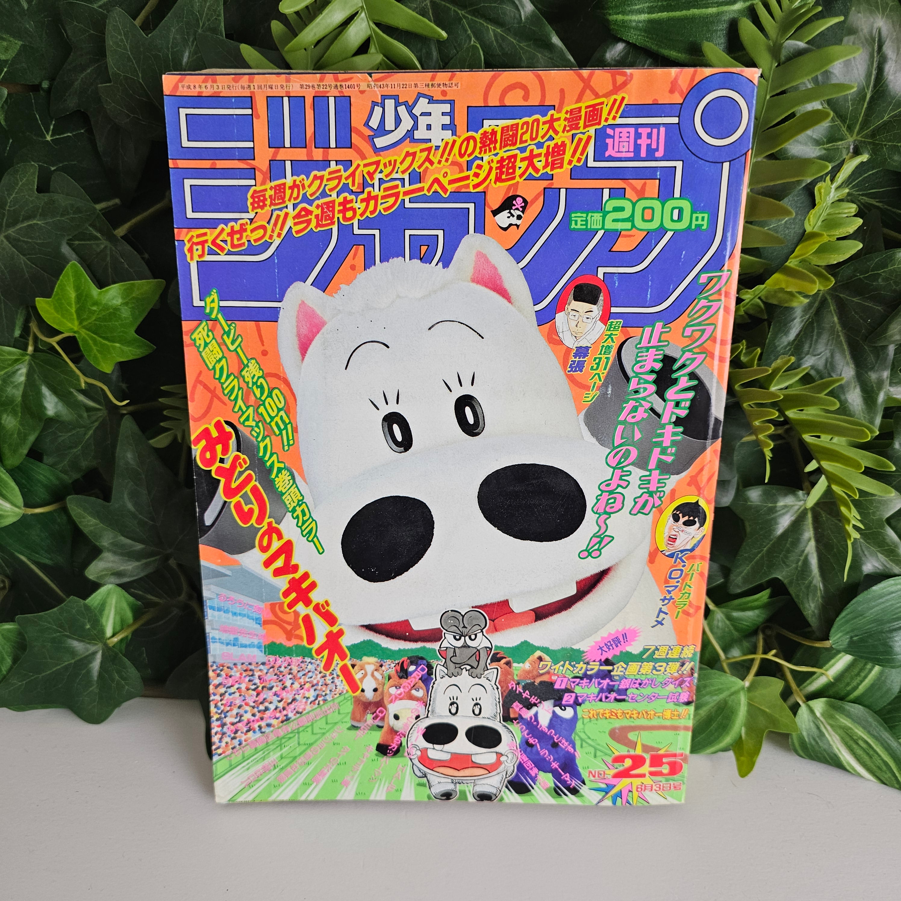Weekly Shonen Jump n°25 (1996) (Slam Dunk Chapitre 274)