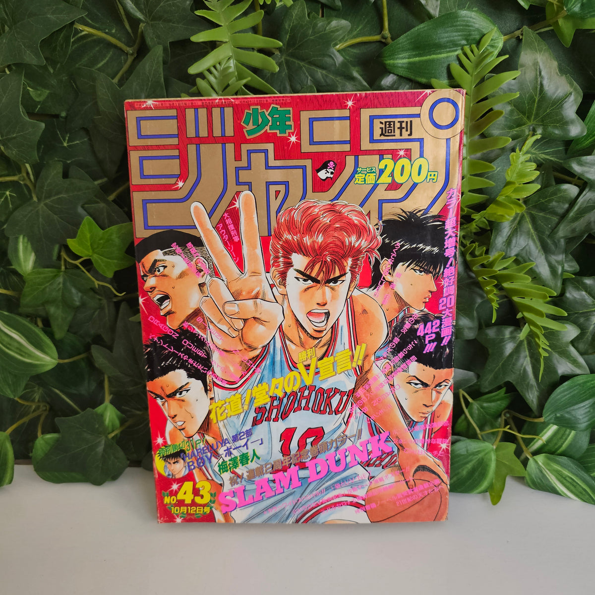 Weekly Shonen Jump n°43 (1992) (Slam Dunk)