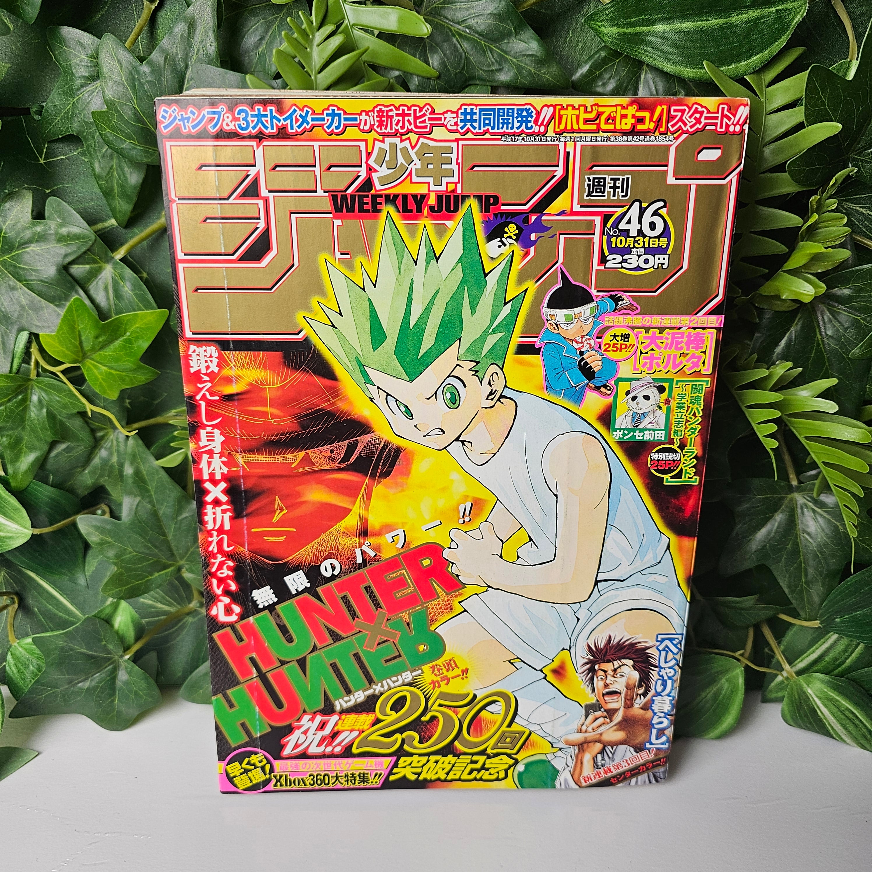 Weekly Shonen Jump n°46 (2005) (Hunter x Hunter)