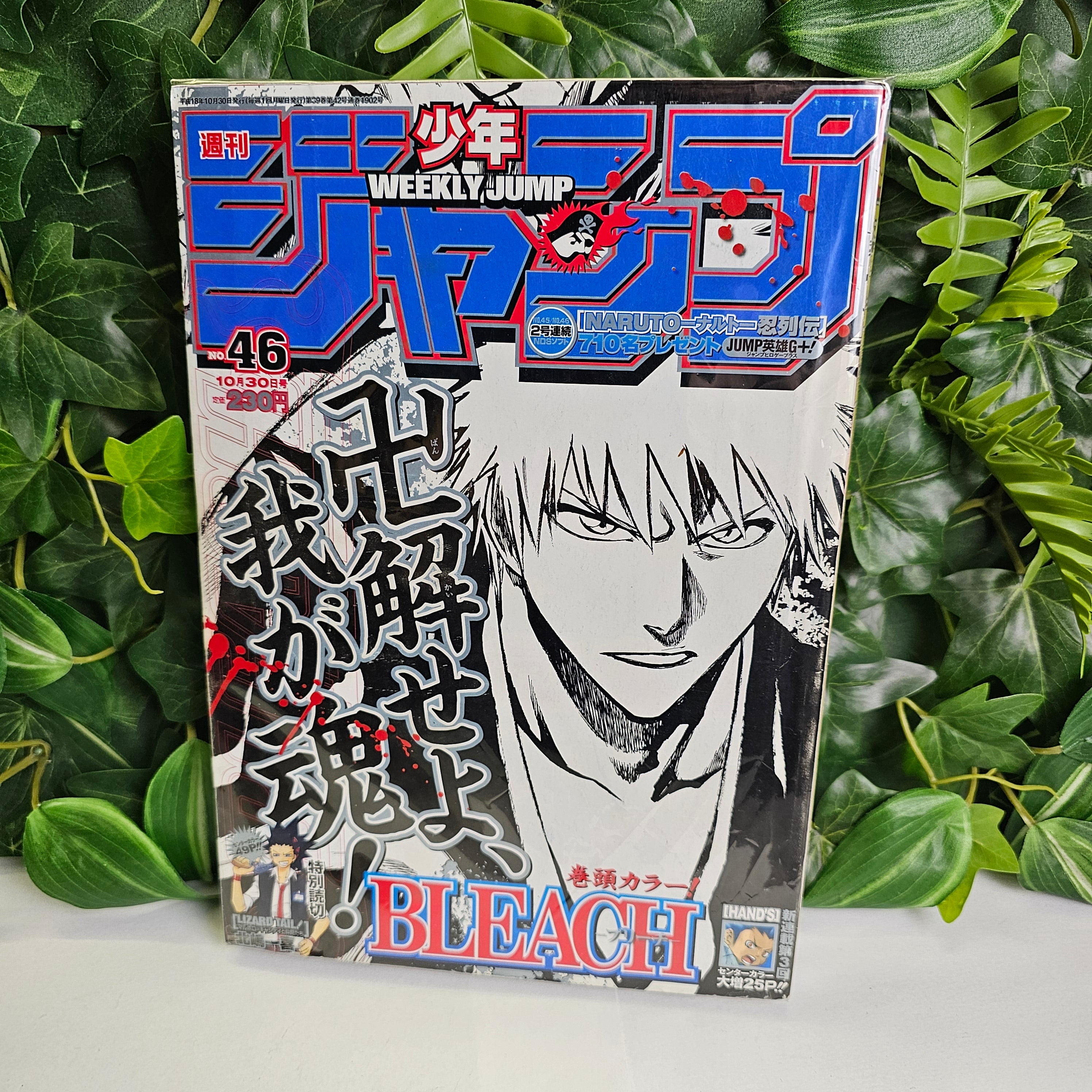 Weekly Shonen Jump n°46 (2006) (Bleach)