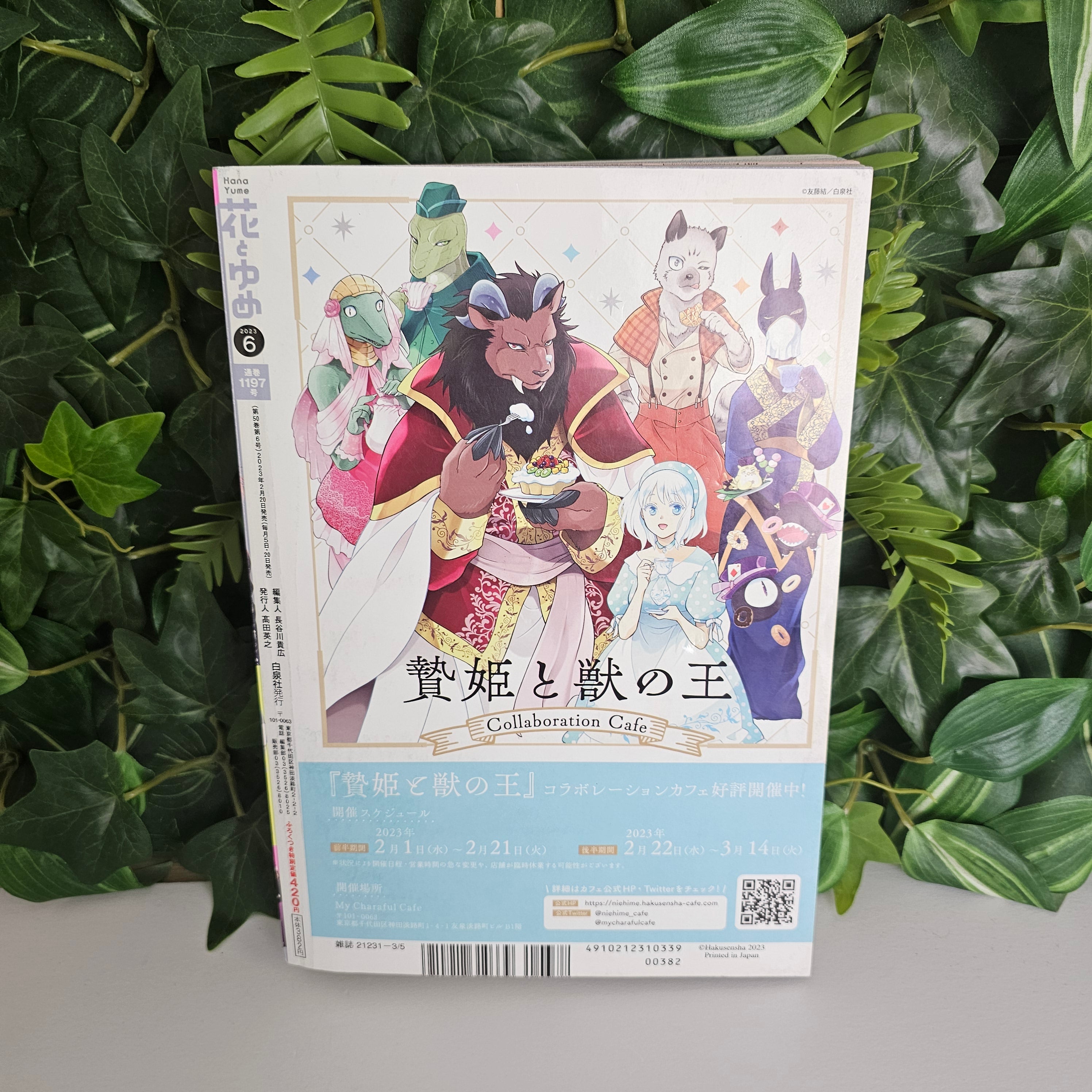 Hana To Yume n°6 (2023) (Tamon's B-Side)