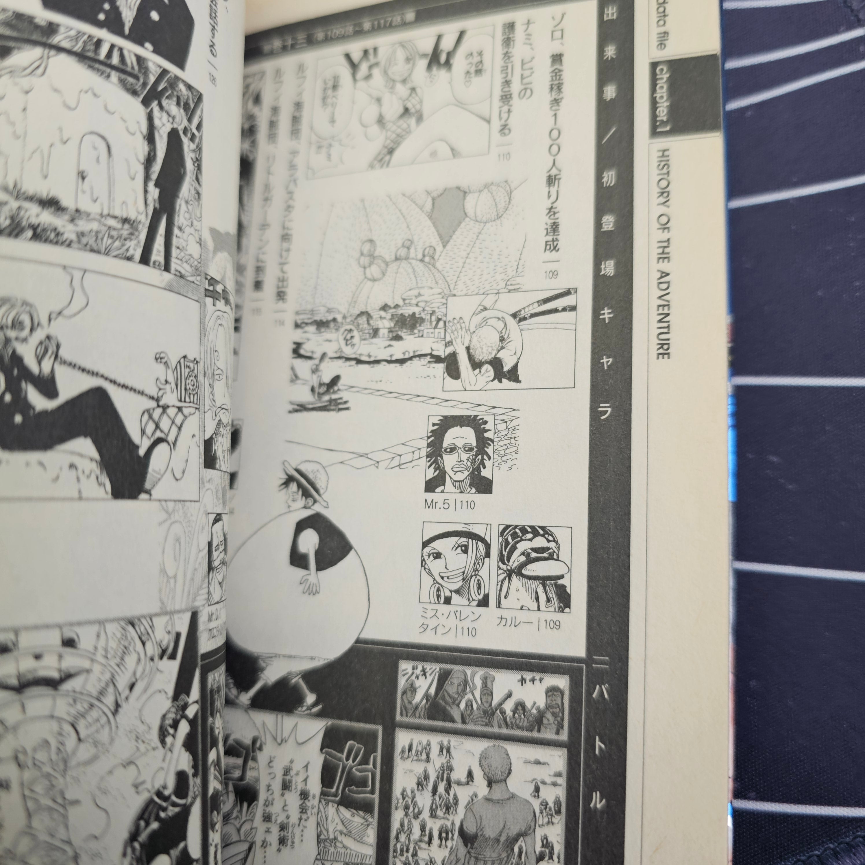 One Piece - Tome BLUE Grand Data File