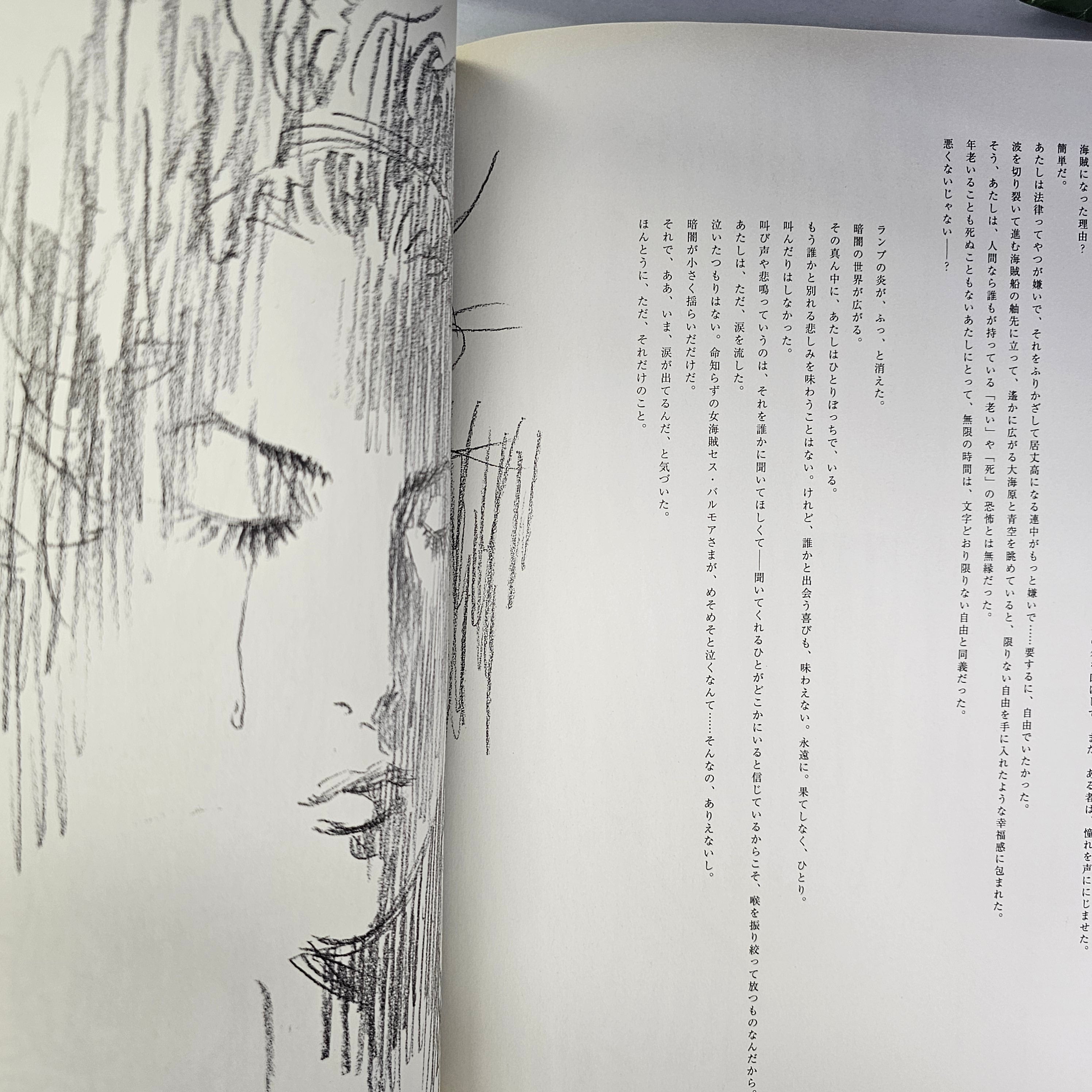 Switch n°25 (2007)